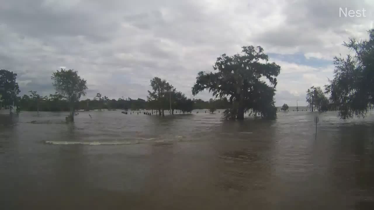 East Mandeville, LA HT Ida (2021)