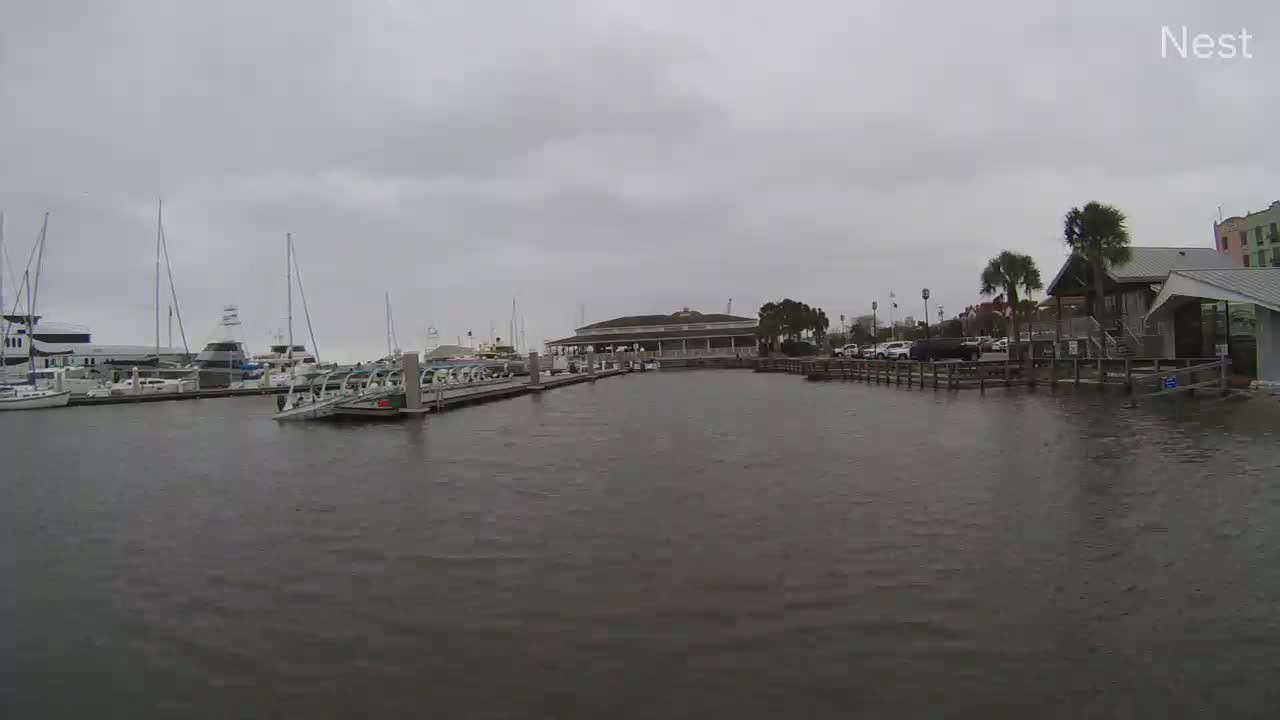 Hurricanetrack Fernandina Beach Cam Nicole (2022)