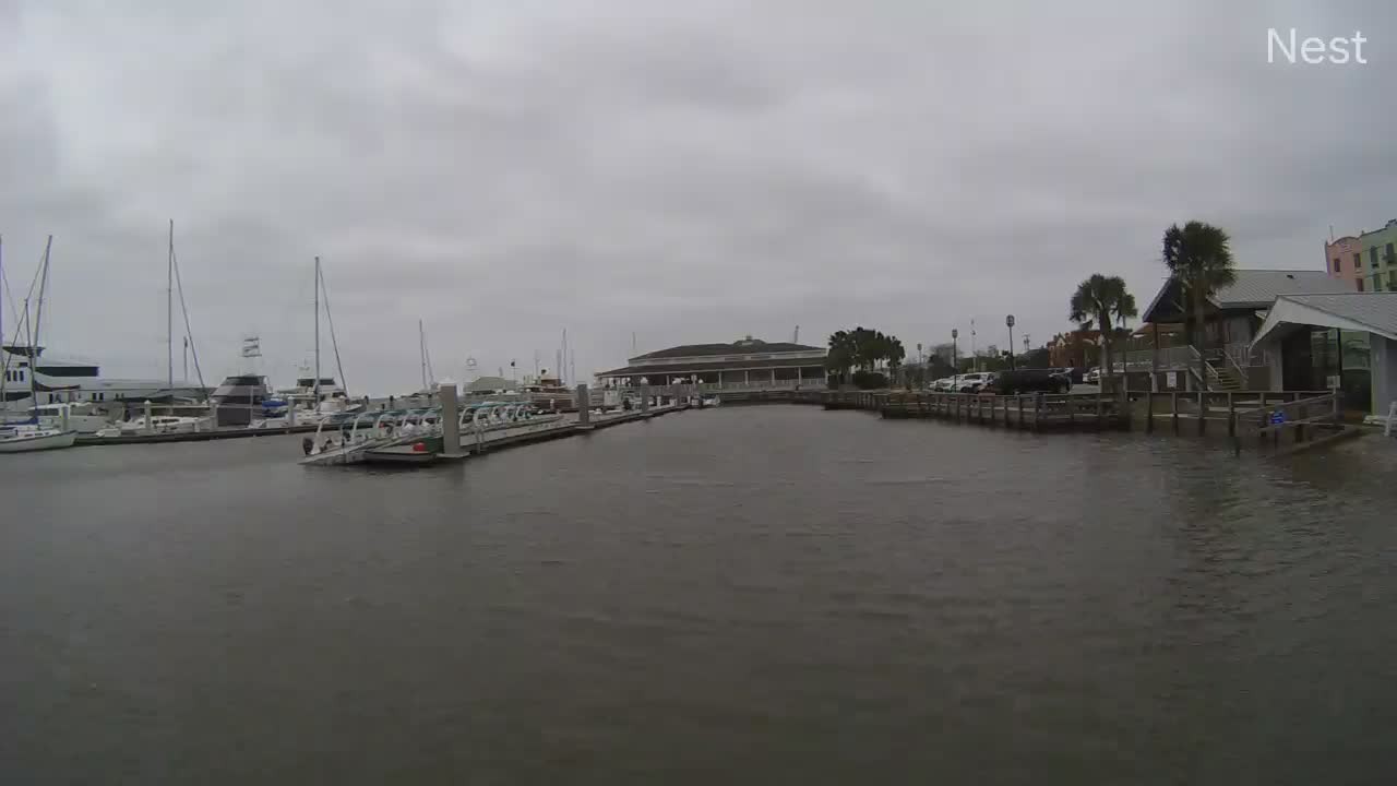 Hurricanetrack Fernandina Beach Cam Nicole (2022)