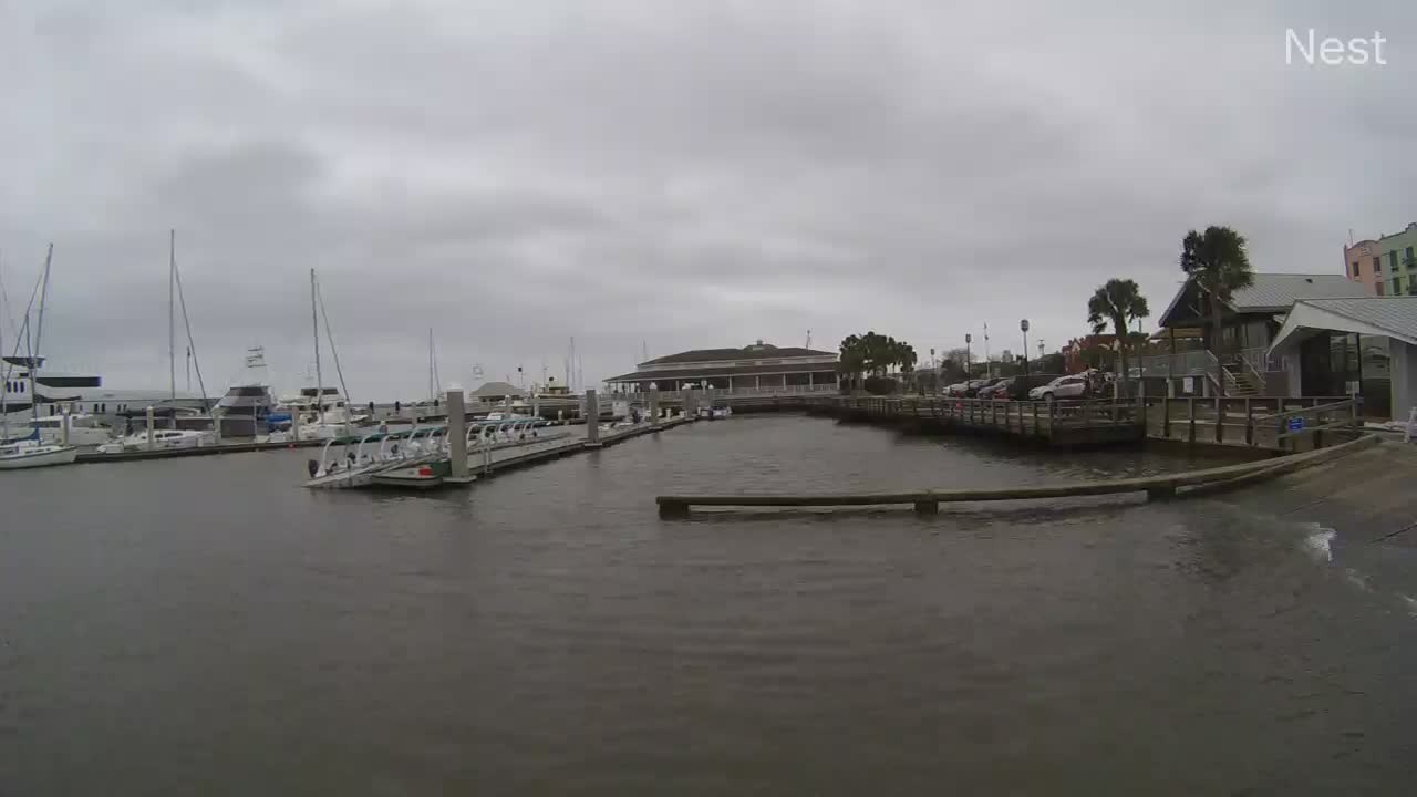 Hurricanetrack Fernandina Beach Cam Nicole (2022)