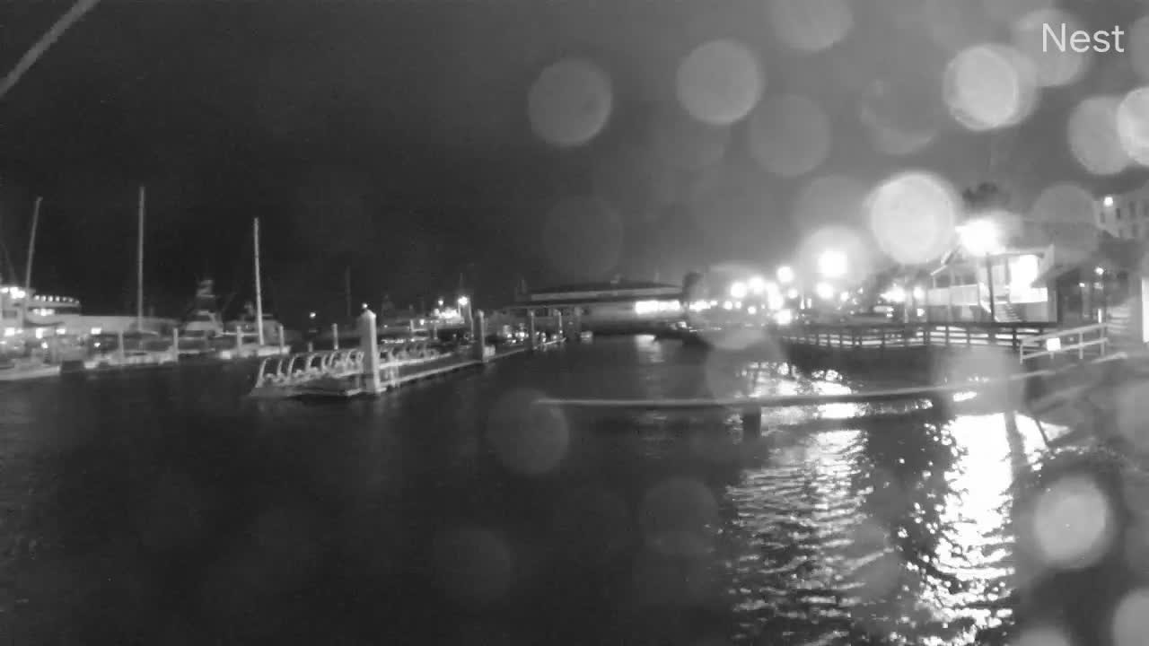 Hurricanetrack Fernandina Beach Cam Nicole (2022)