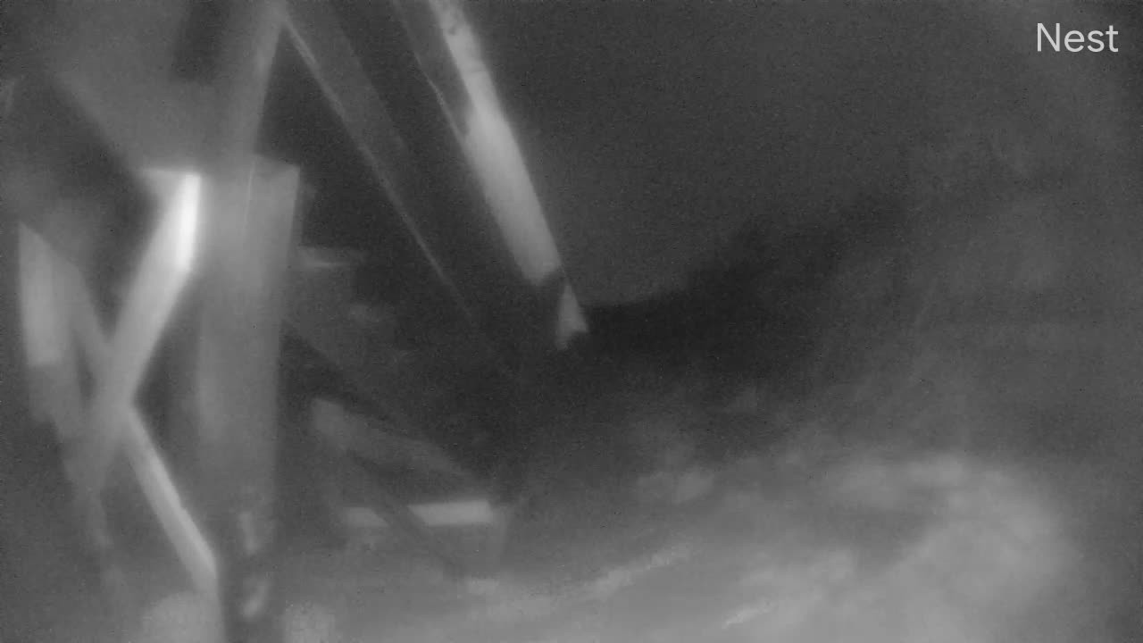 Hurricanetrack Palm Coast Cam 1 Nicole (2022)