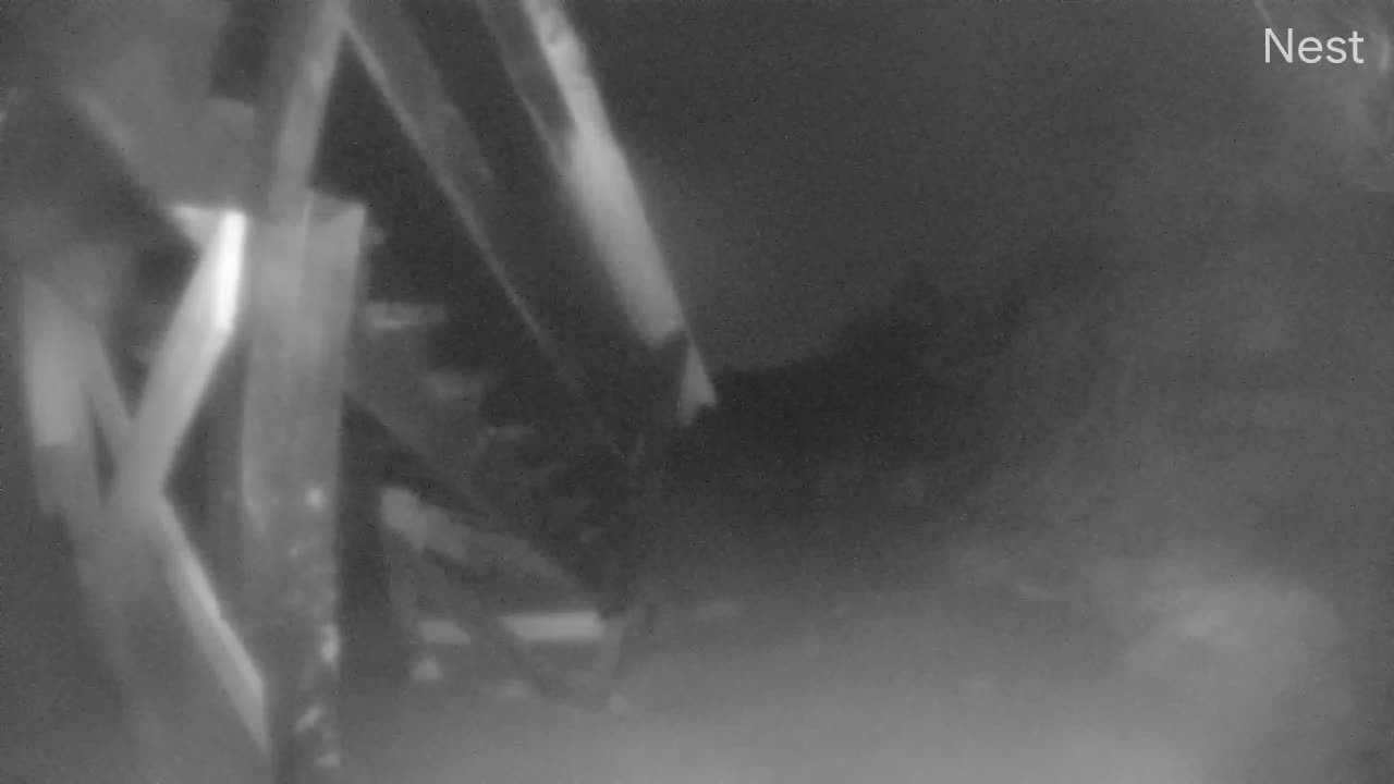 Hurricanetrack Palm Coast Cam 1 Nicole (2022)