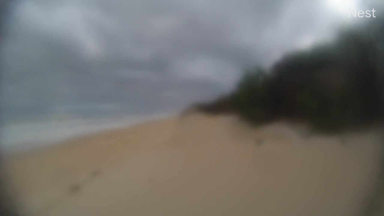 Hurricanetrack Palm Coast Cam 1 Nicole (2022)