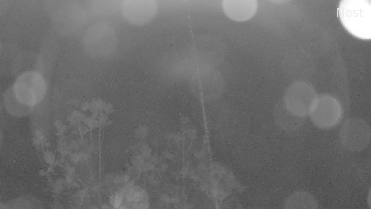 Hurricanetrack St. Thomas North Cam Fiona (2022)