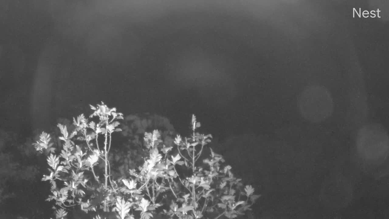 Hurricanetrack St. Thomas North Cam Fiona (2022)