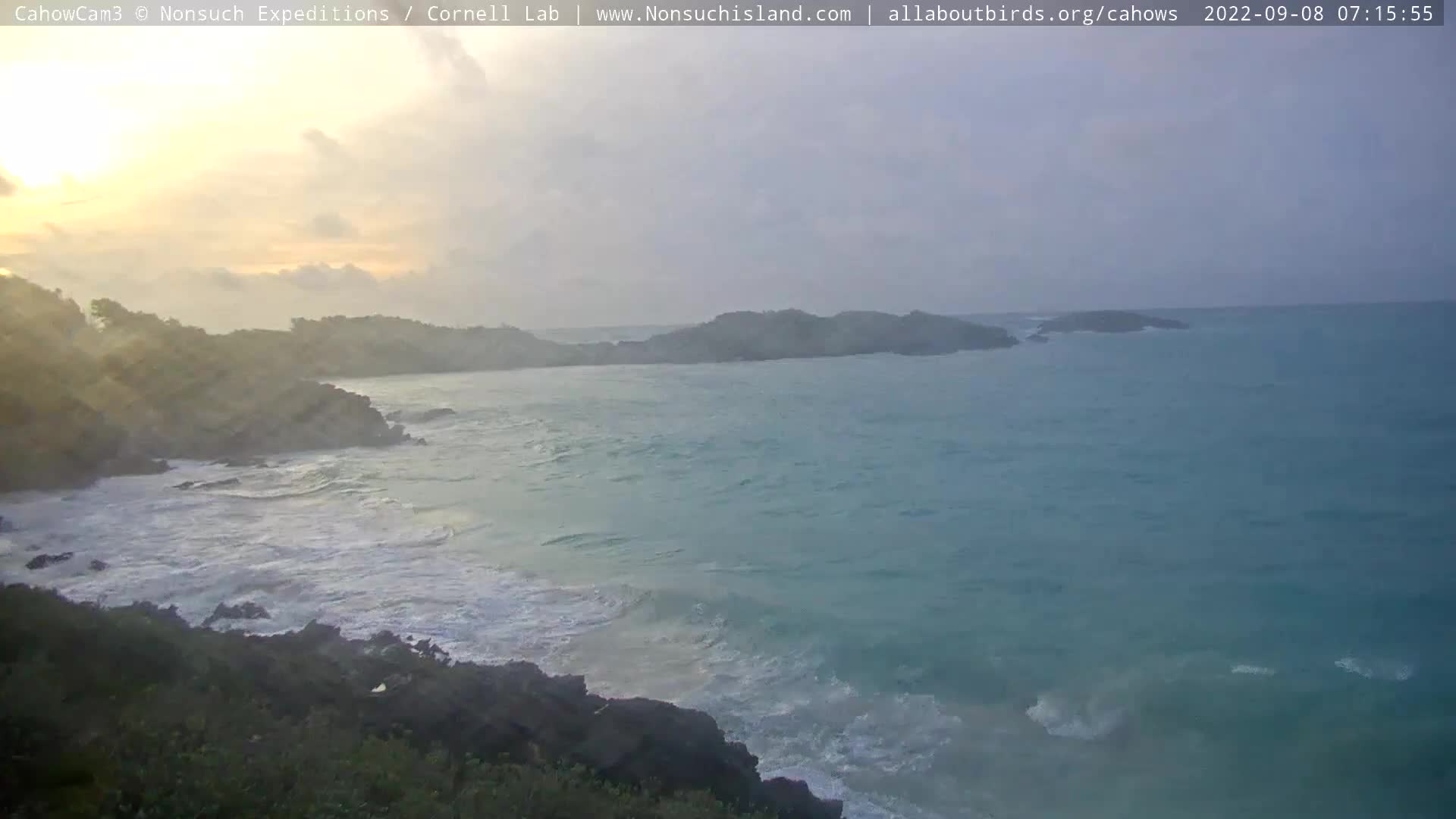 Nonsuch Island Bermuda Cam Earl (2022) Nonsuch Island Bermuda Cam Earl (2022)
