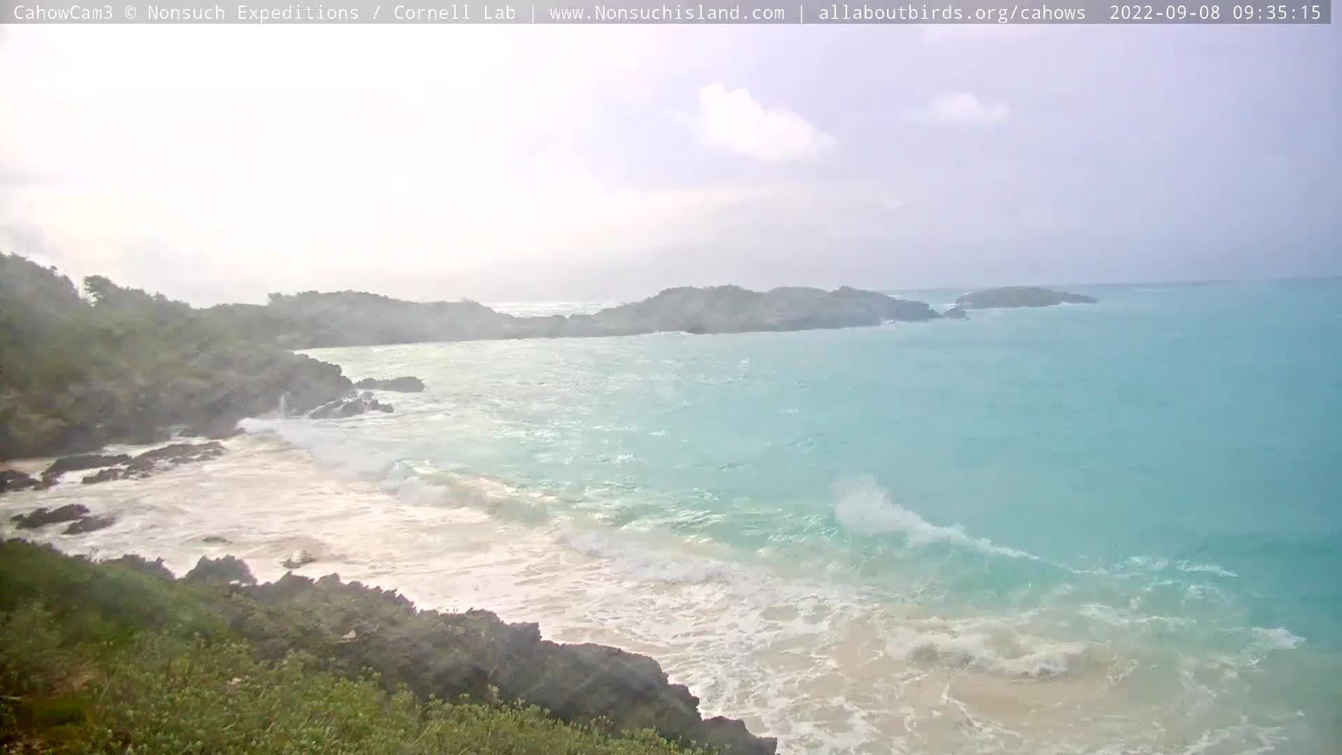 Nonsuch Island Bermuda Cam Earl (2022)