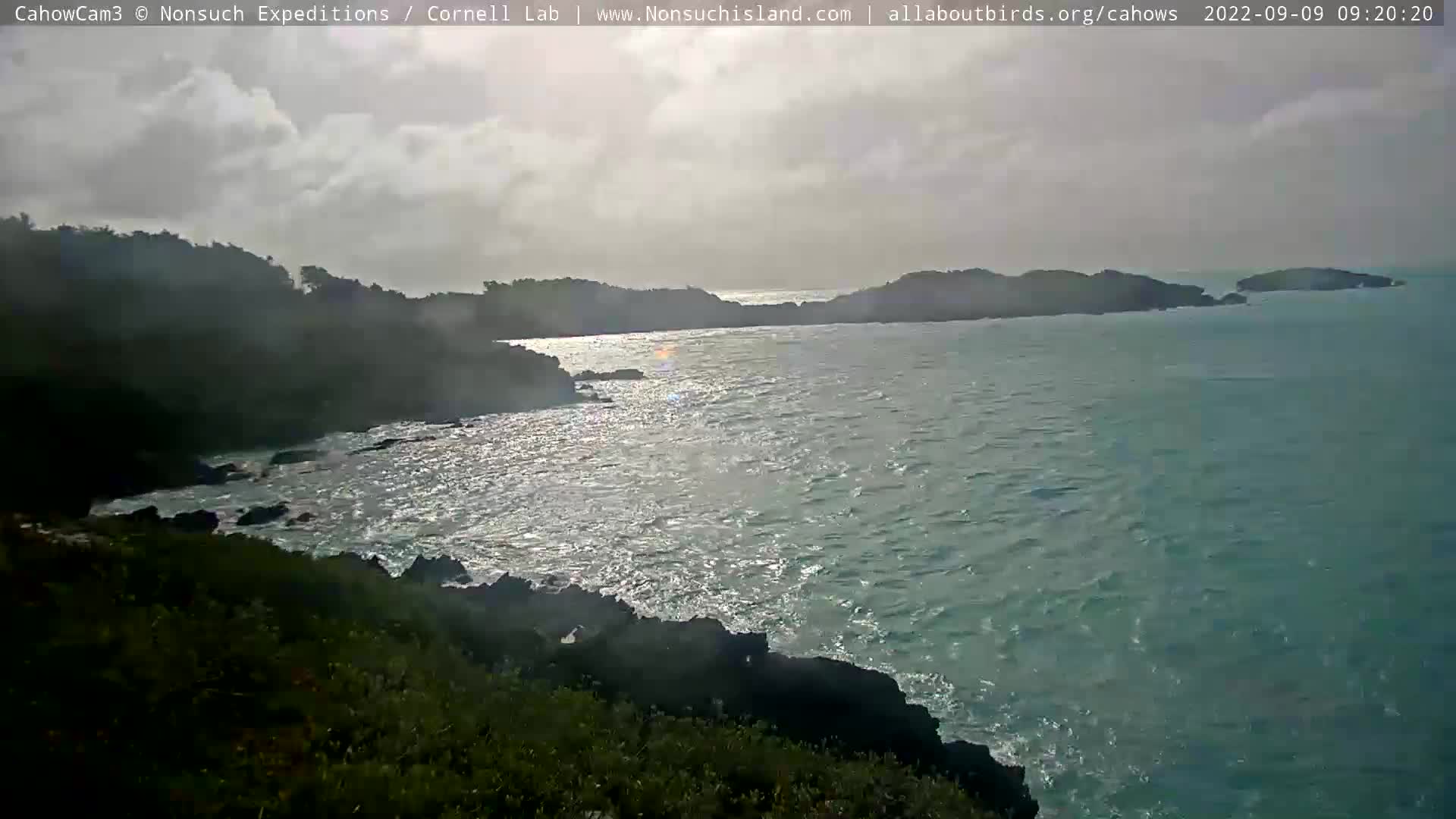 Nonsuch Island Bermuda Cam Earl (2022)