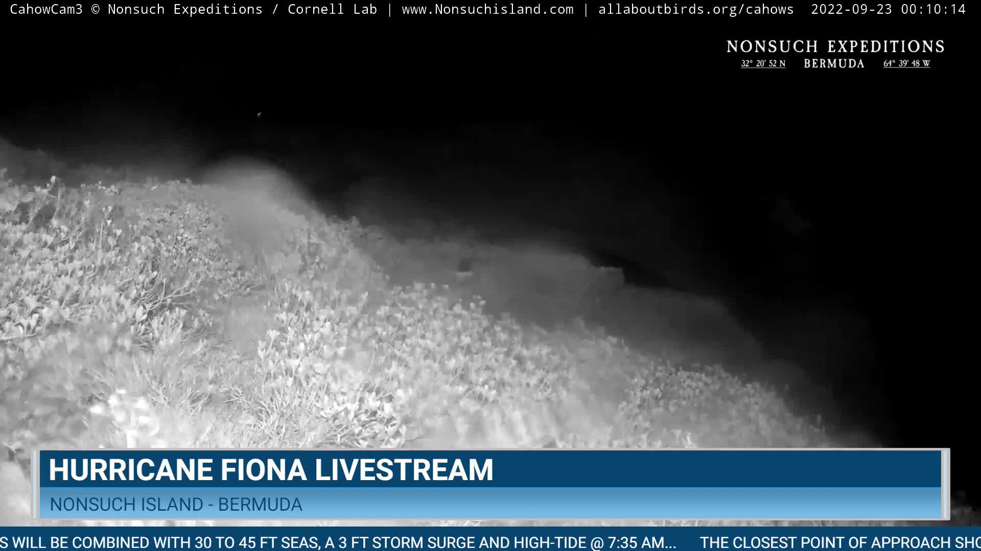 Nonsuch Island Bermuda Cam Fiona (2022)