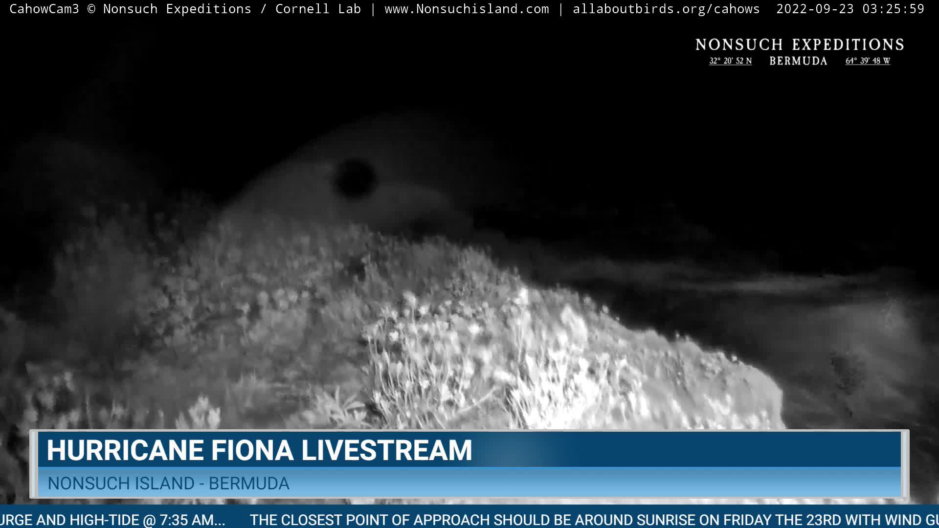 Nonsuch Island Bermuda Cam Fiona (2022)