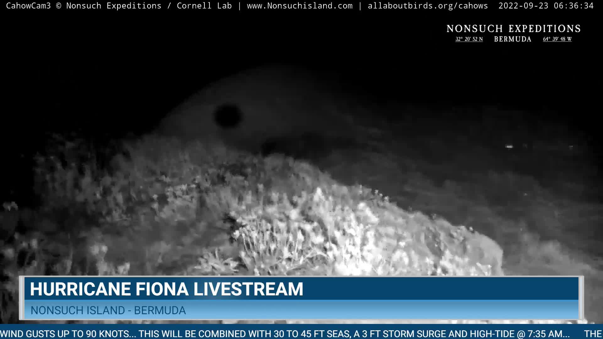 Nonsuch Island Bermuda Cam Fiona (2022)