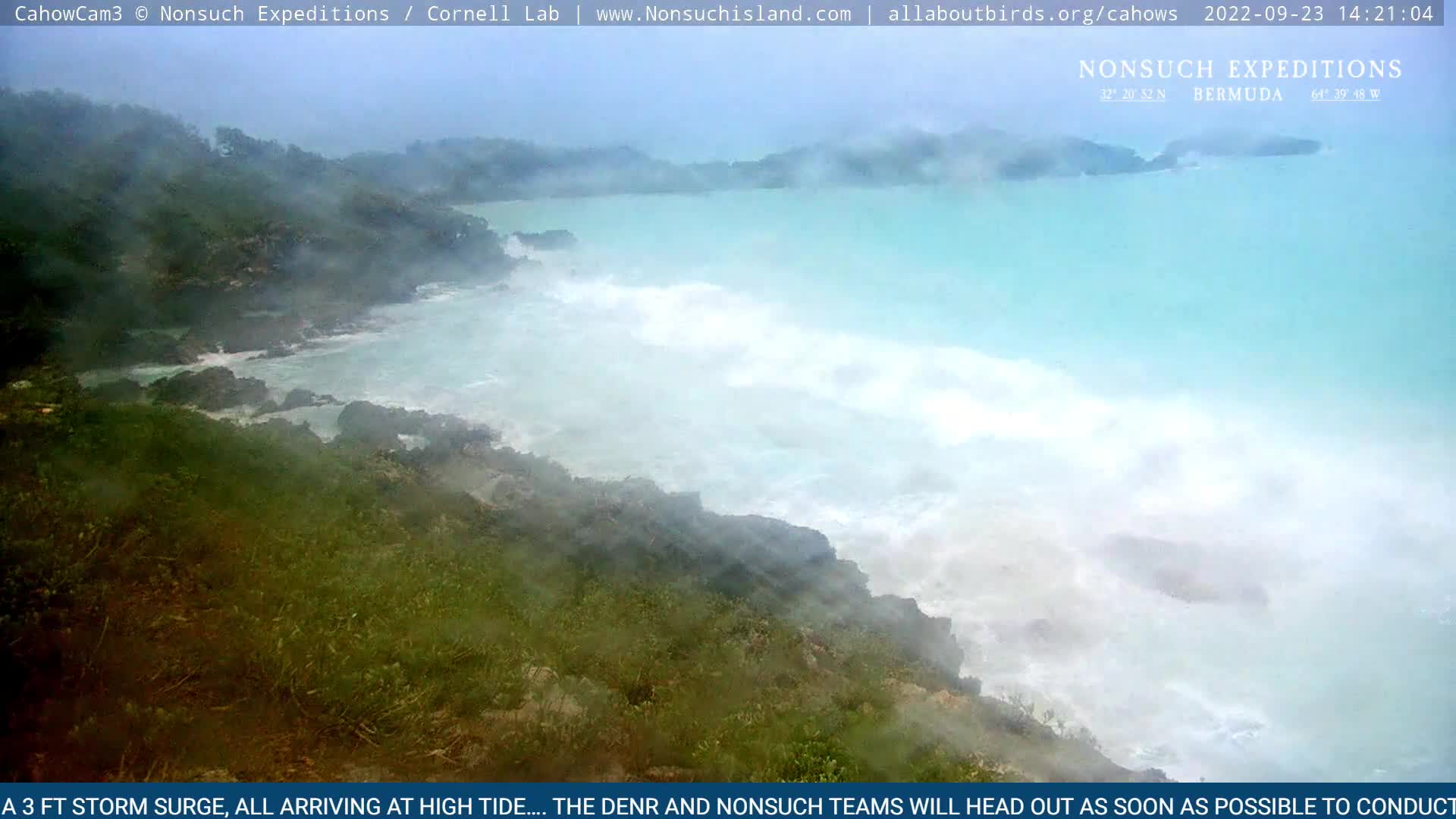 Nonsuch Island Bermuda Cam Fiona (2022)