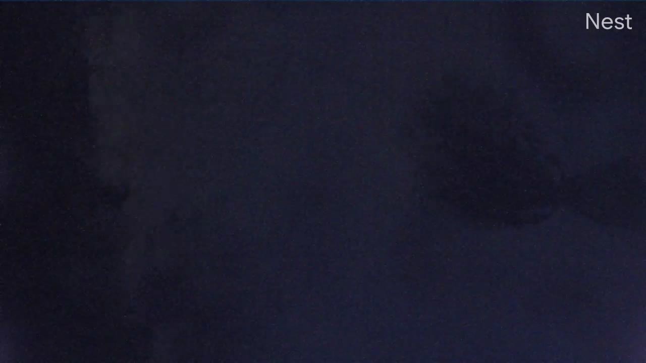 Hurricanetrack Punta Gorda Marina Cam Ian (2022)