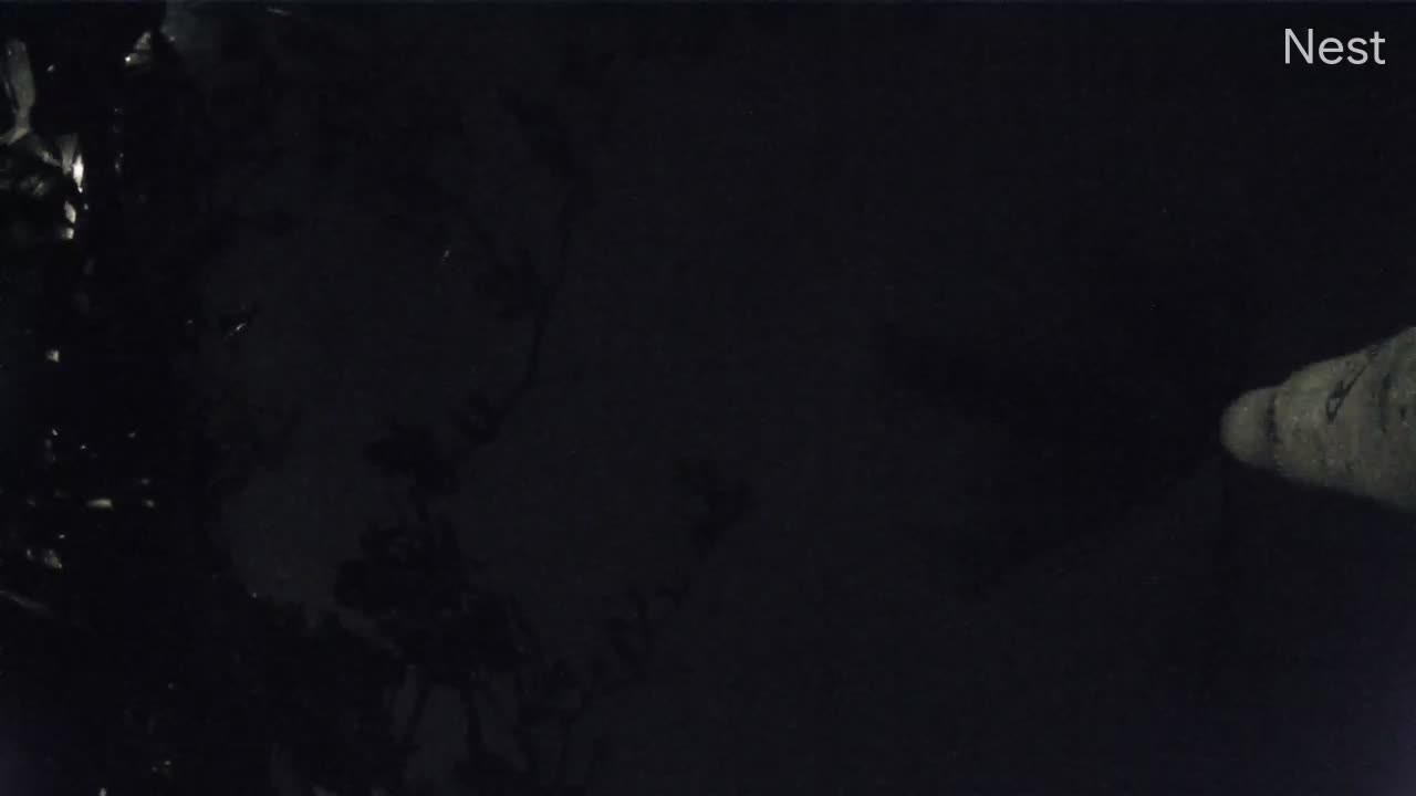 Hurricanetrack Punta Gorda Marina Cam Ian (2022)