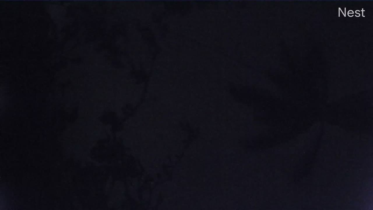 Hurricanetrack Punta Gorda Marina Cam Ian (2022)