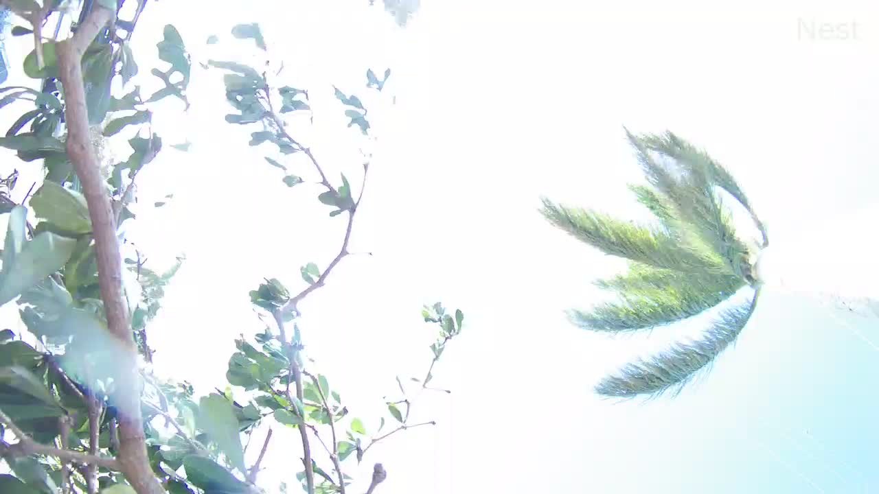 Hurricanetrack Punta Gorda Marina Cam Ian (2022)
