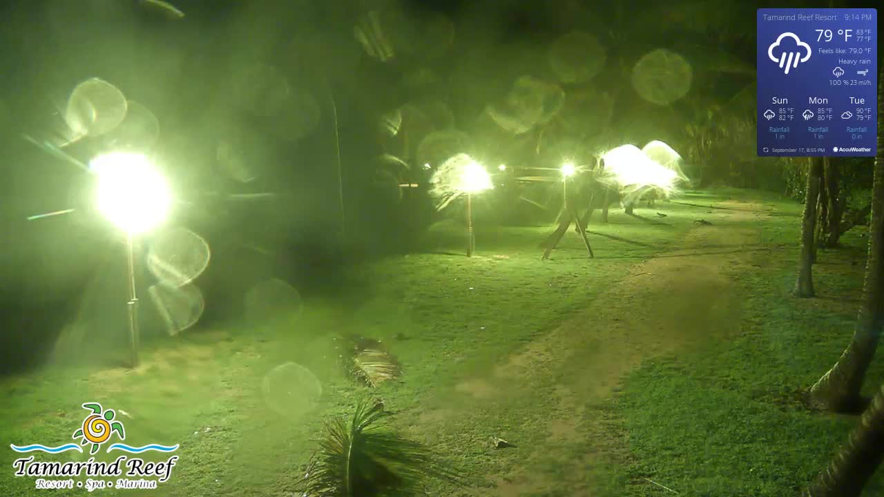St. Croix Tamarind Cam Fiona (2022)
