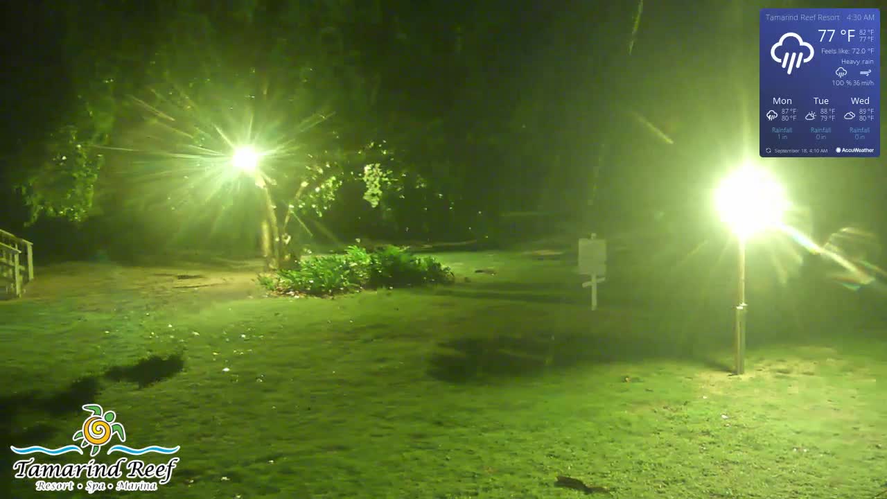 St. Croix Tamarind Cam Fiona (2022)