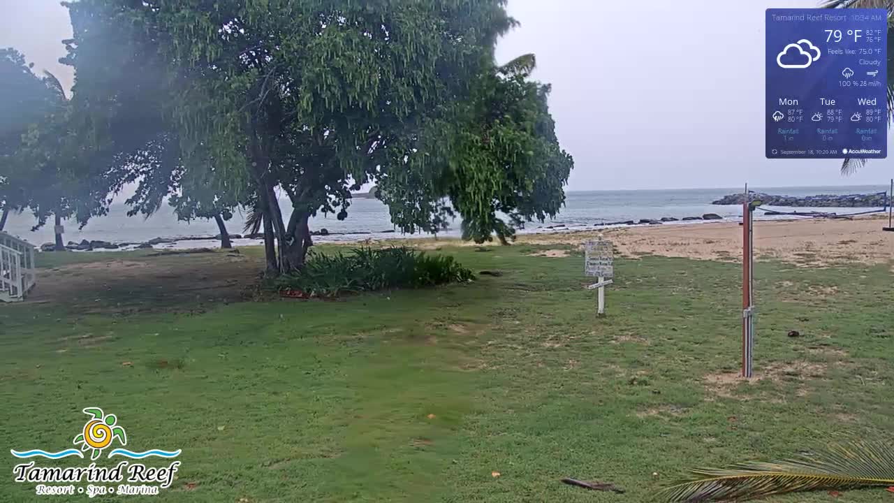 St. Croix Tamarind Cam Fiona (2022)
