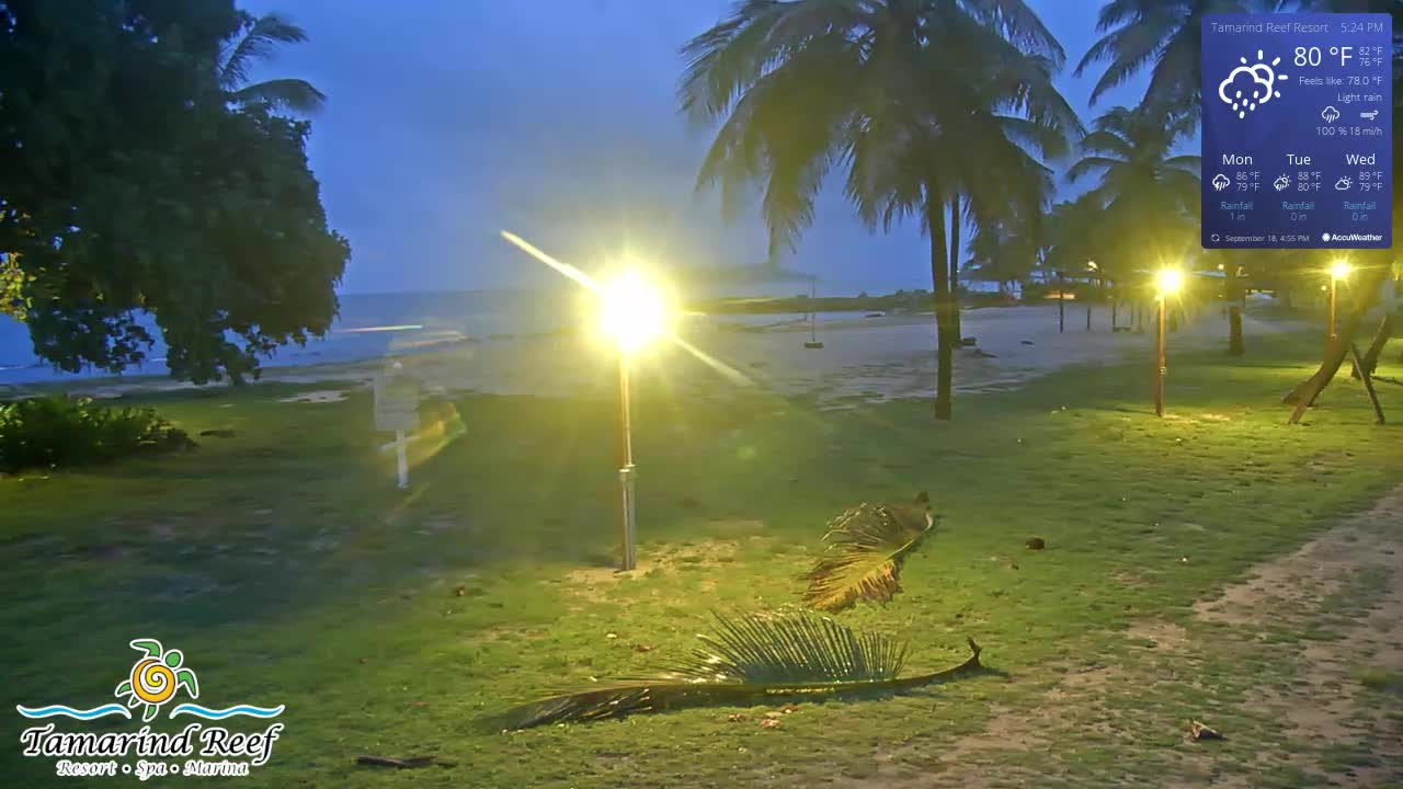 St. Croix Tamarind Cam Fiona (2022)