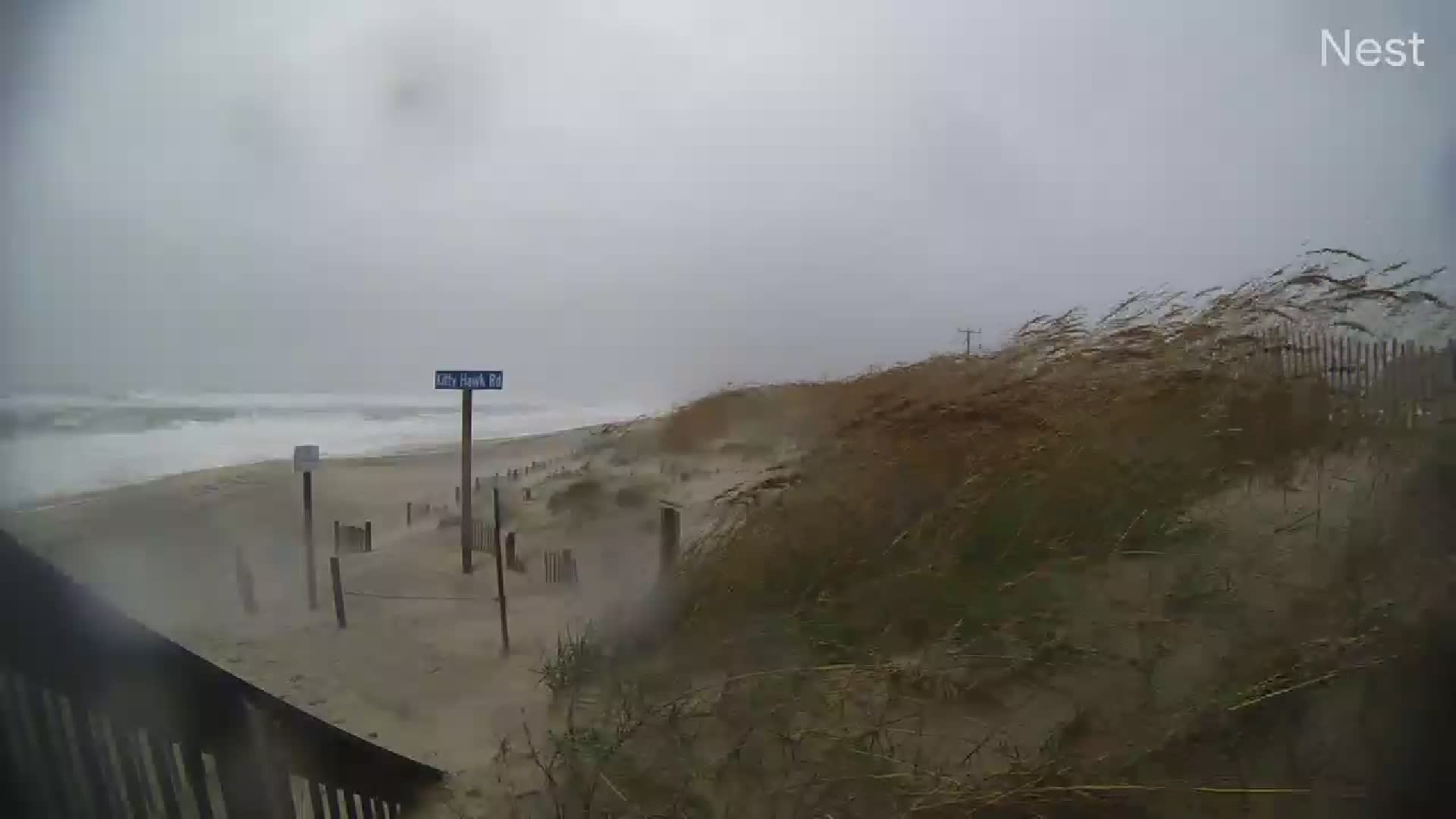 HT Kitty Hawk Cam 14 Ophelia (2023)