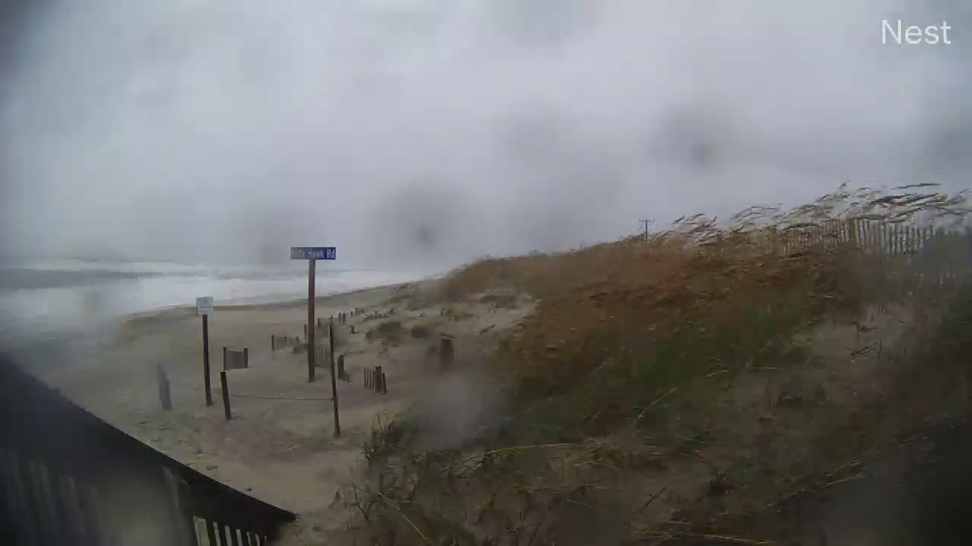 HT Kitty Hawk Cam 14 Ophelia (2023)