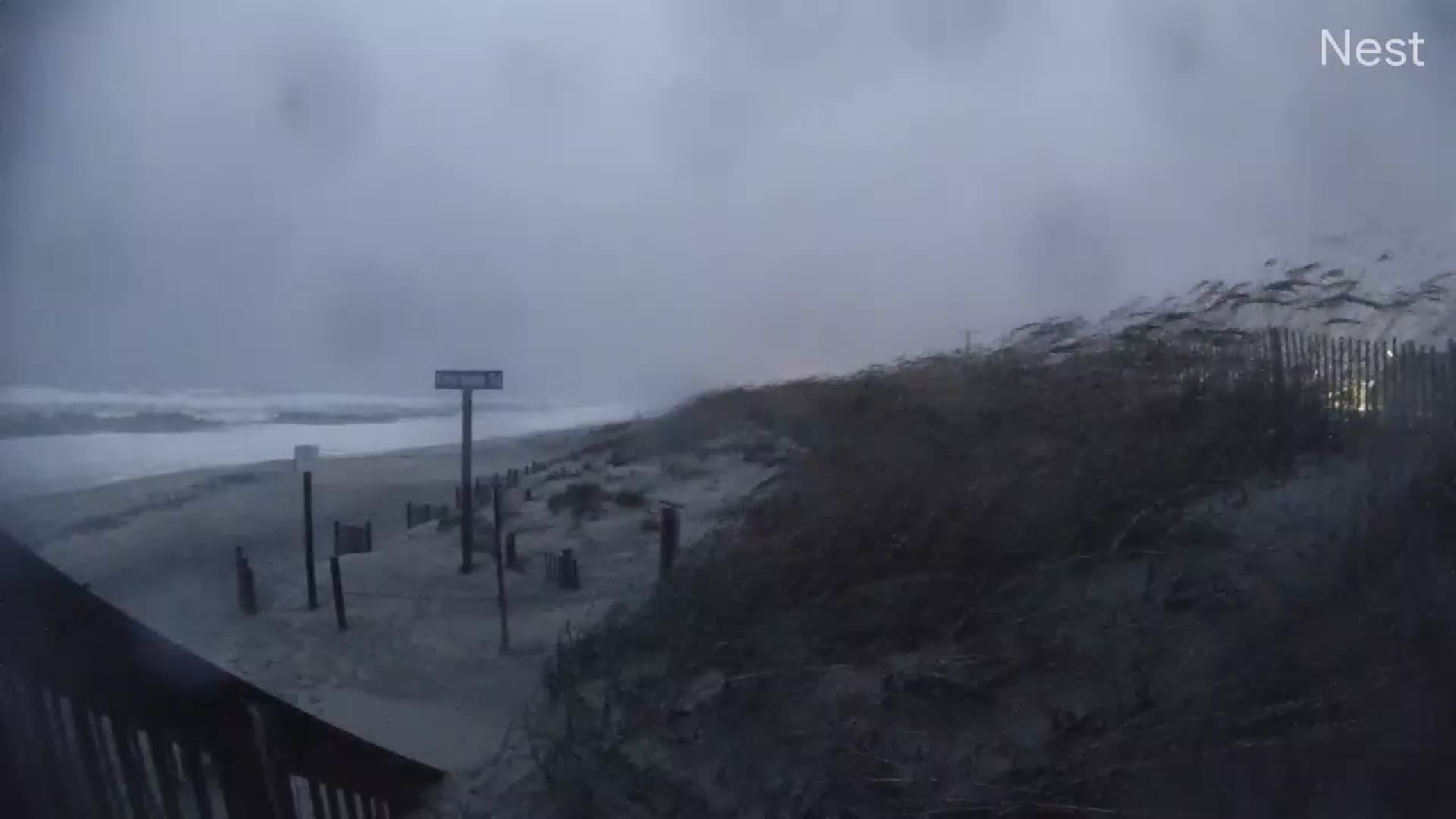 HT Kitty Hawk Cam 14 Ophelia (2023)