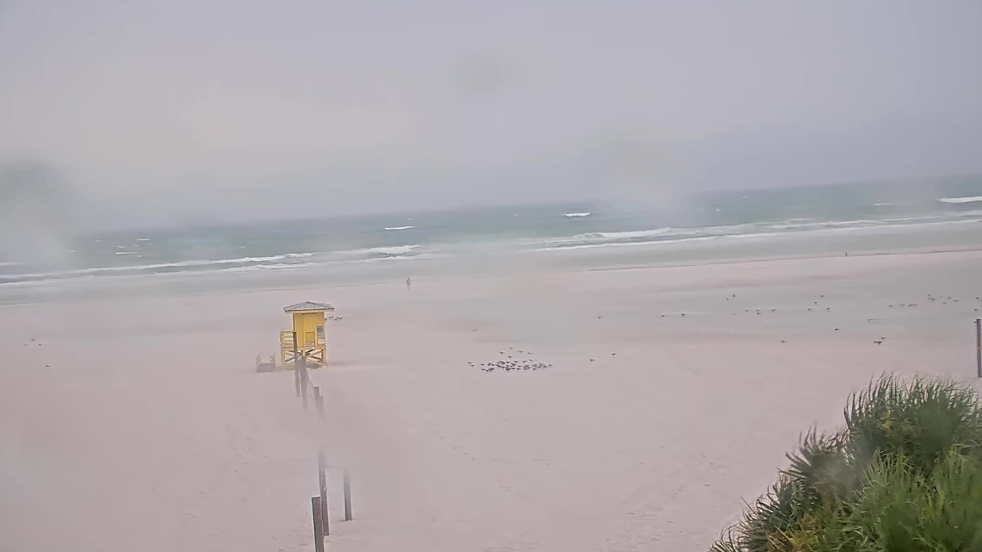 Siesta Key Beach Cam Cam Recording Idalia (2023)