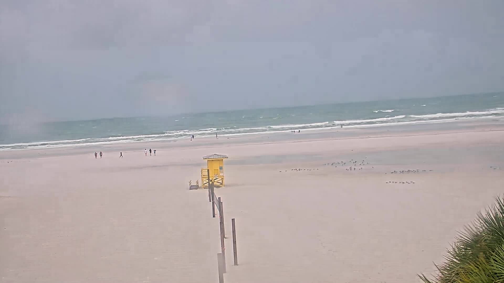 Siesta Key Beach Cam Cam Recording Idalia (2023)