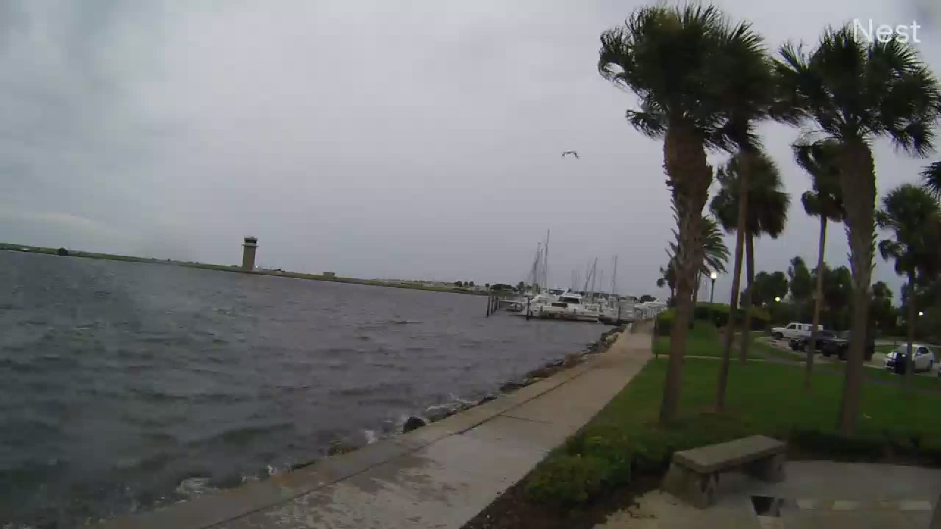 St. Pete Demens Landing Park Hurricanetrack Cam 04 Idalia (2023)