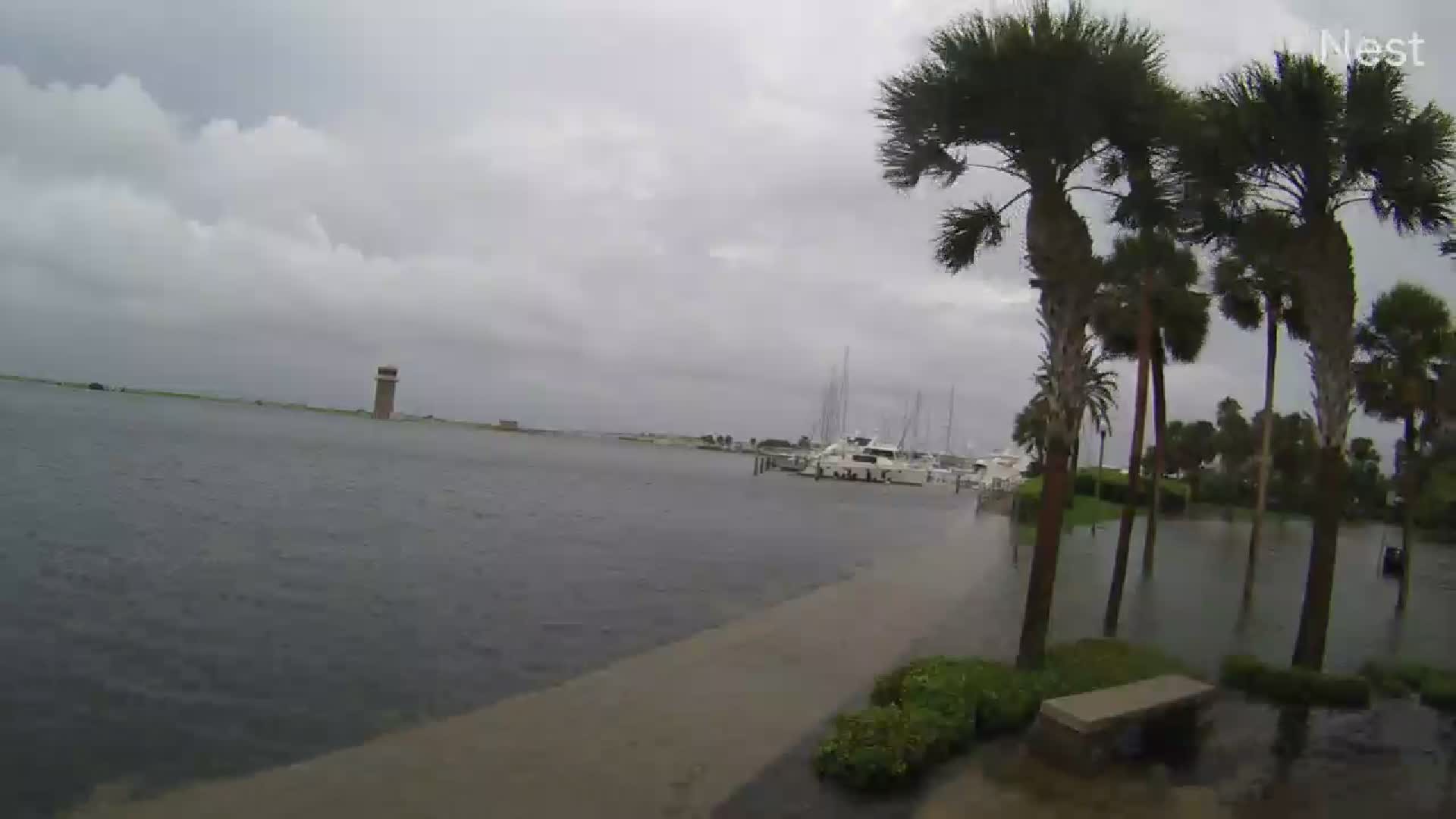 St. Pete Demens Landing Park Hurricanetrack Cam 04 Idalia (2023)