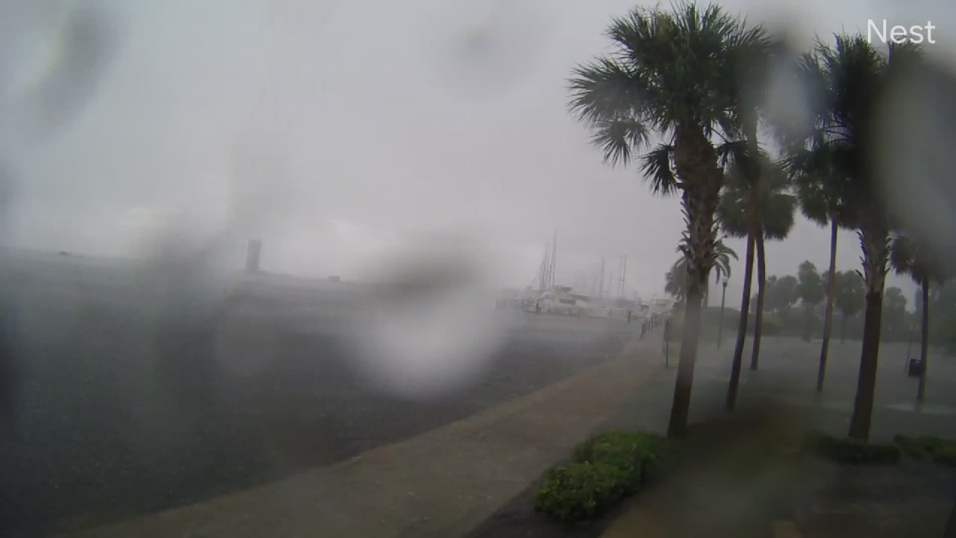 St. Pete Demens Landing Park Hurricanetrack Cam 04 Idalia (2023)