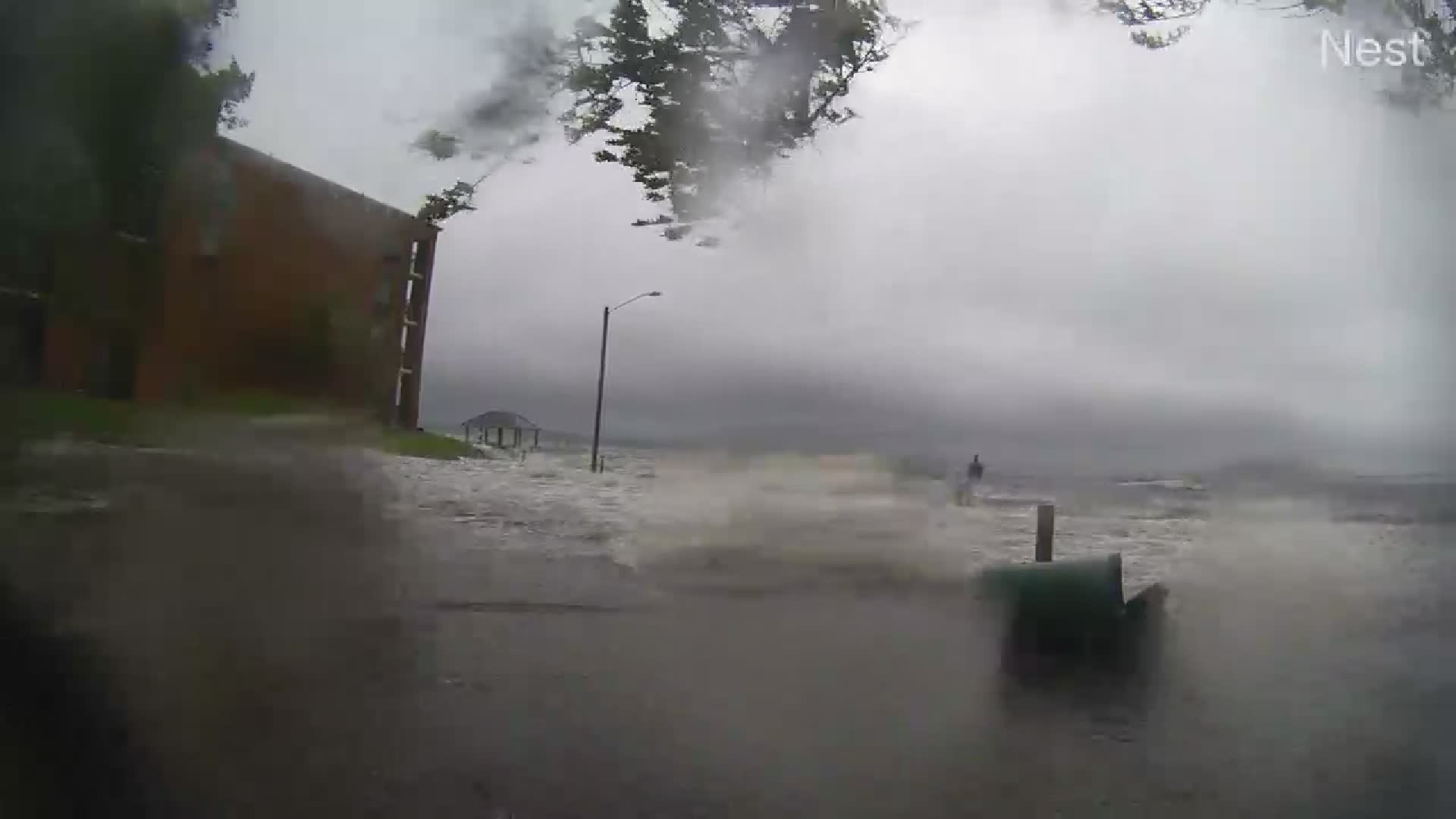 HT New Bern 2 (Trash can) Cam 01 Ophelia (2023)