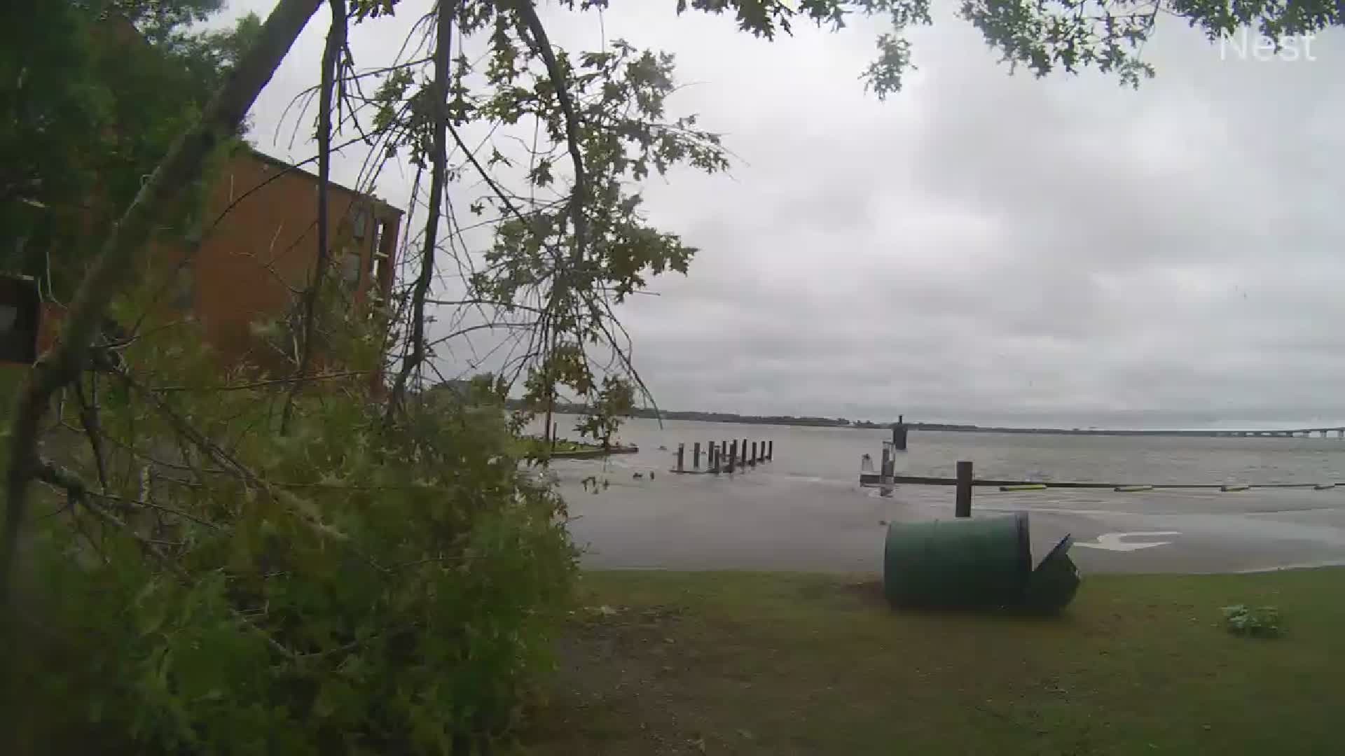 HT New Bern 2 (Trash can) Cam 01 Ophelia (2023)