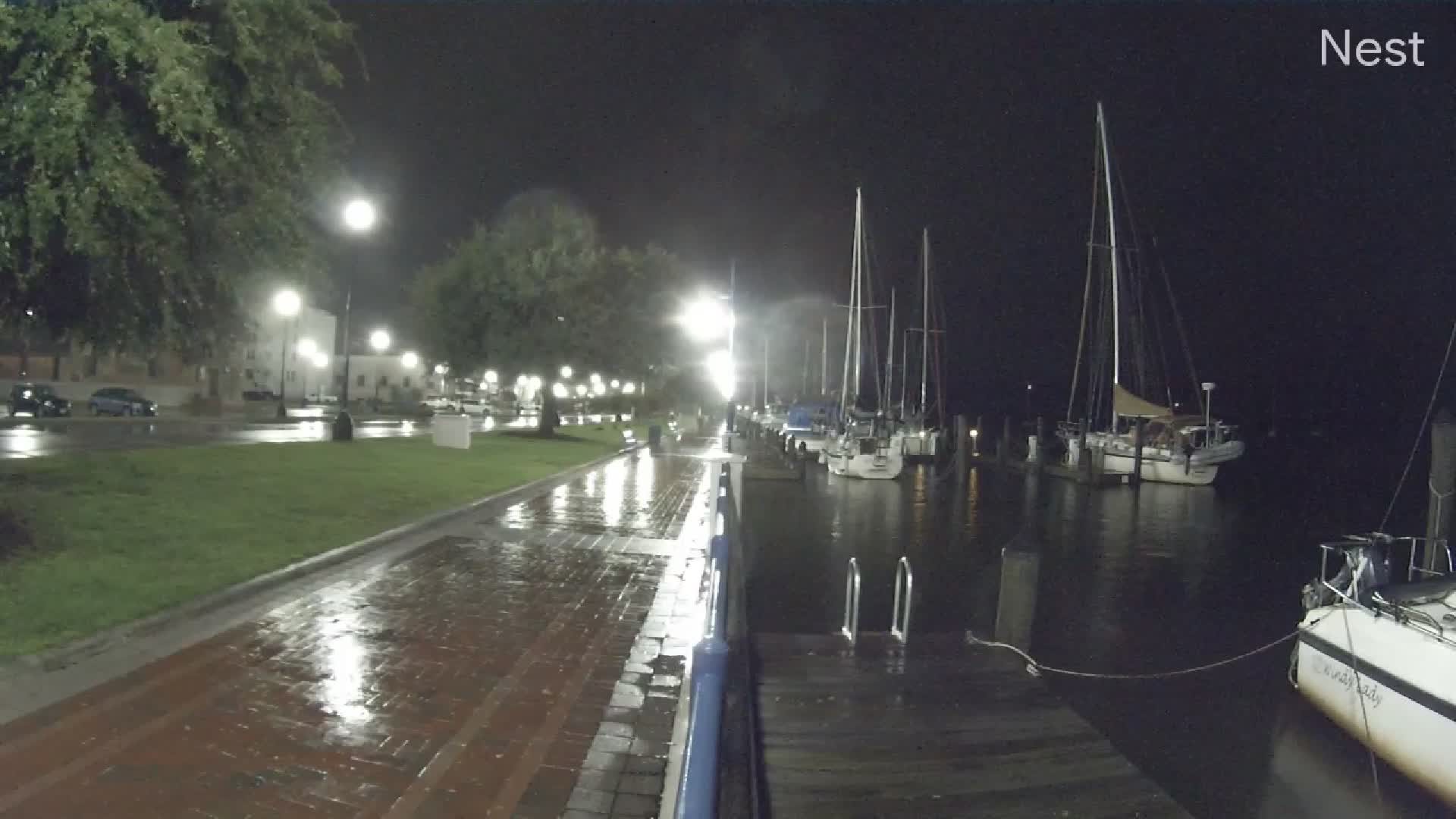 HT Washington, NC Cam 11 Ophelia (2023)