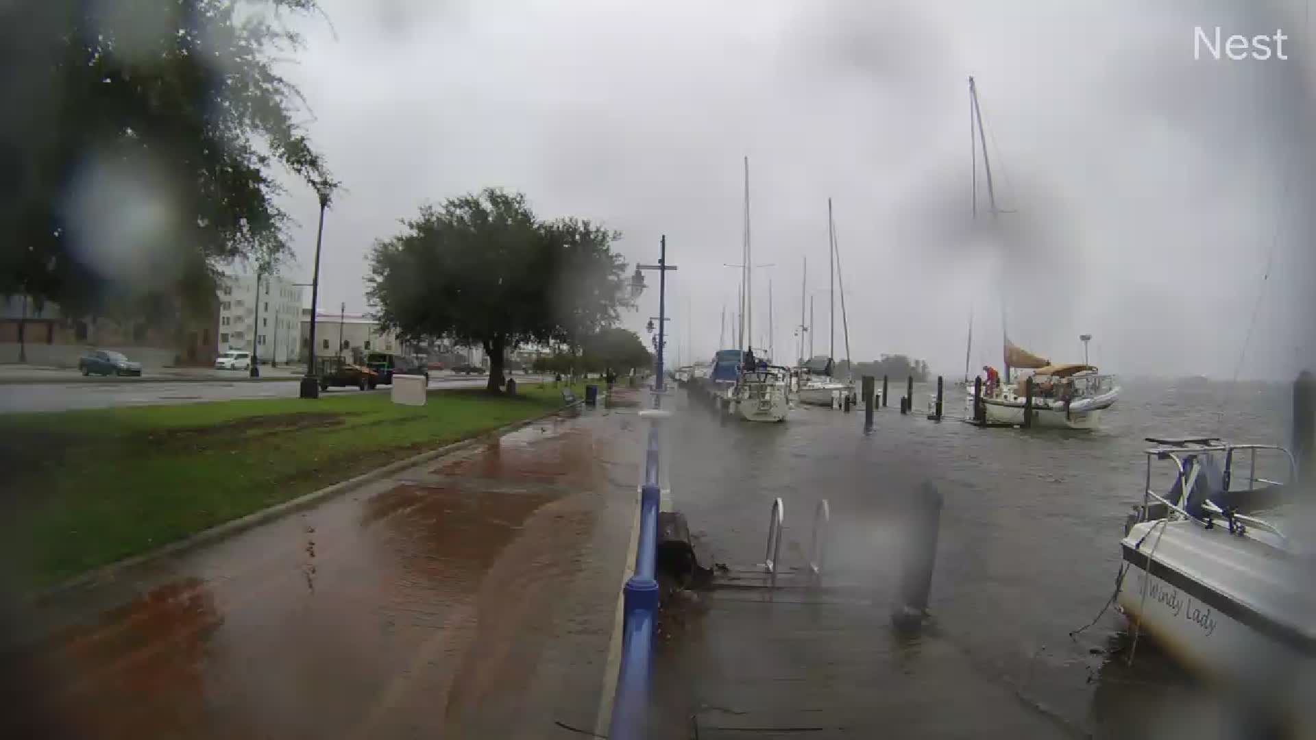HT Washington, NC Cam 11 Ophelia (2023)