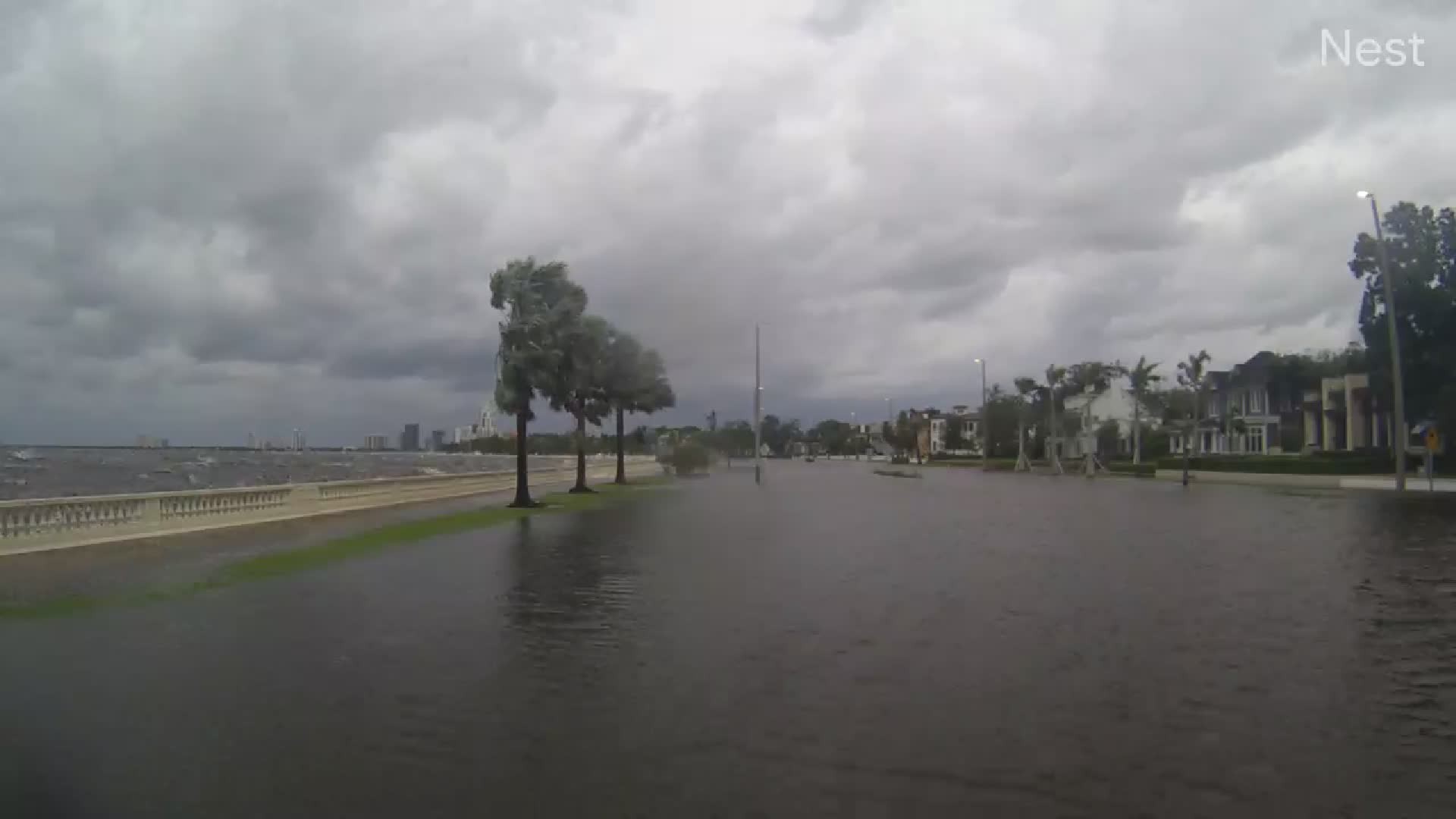 Hurricanetrack Tampa Bayshore Blvd Cam Helene (2024)