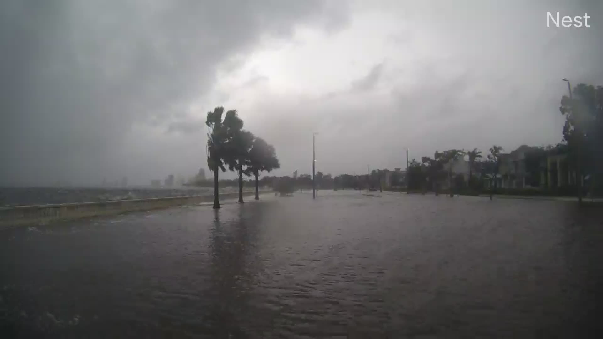Hurricanetrack Tampa Bayshore Blvd Cam Helene (2024)