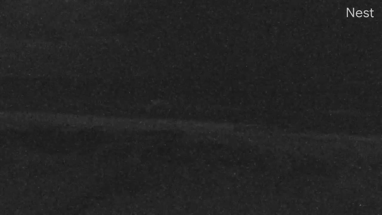 HT Palm Coast FL Cam 92L (June 2024)