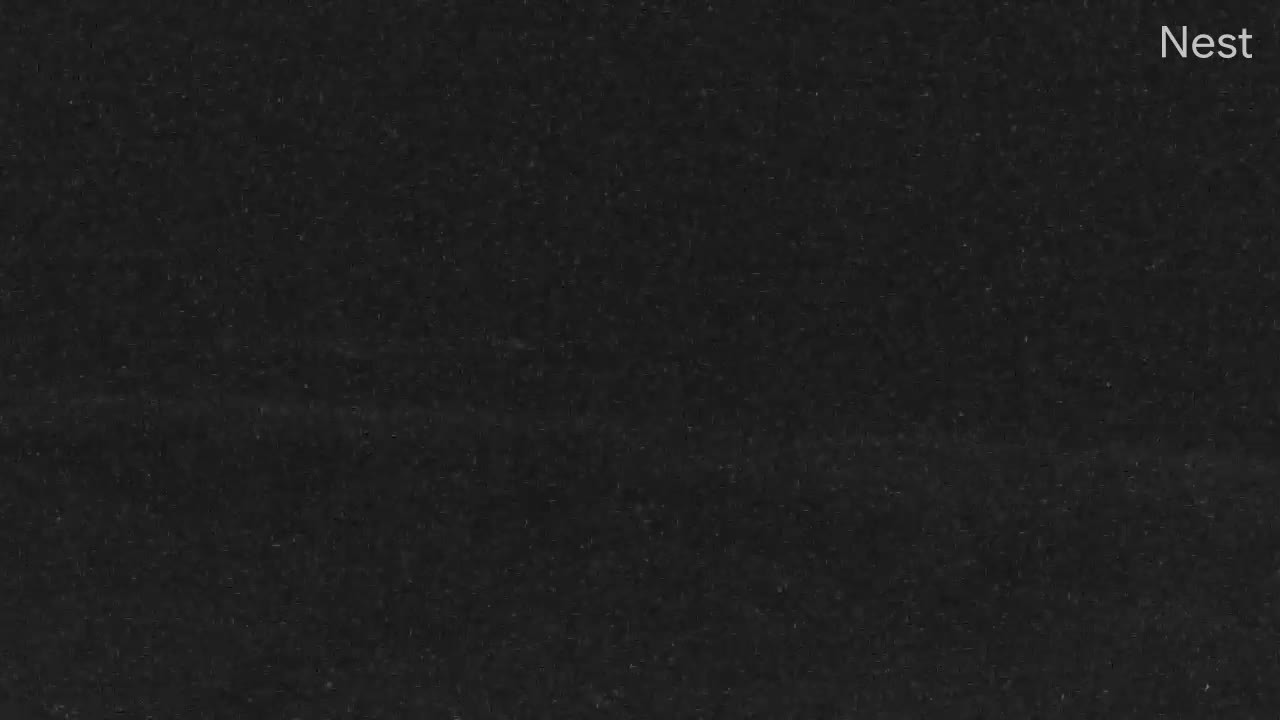HT Palm Coast FL Cam 92L (June 2024)