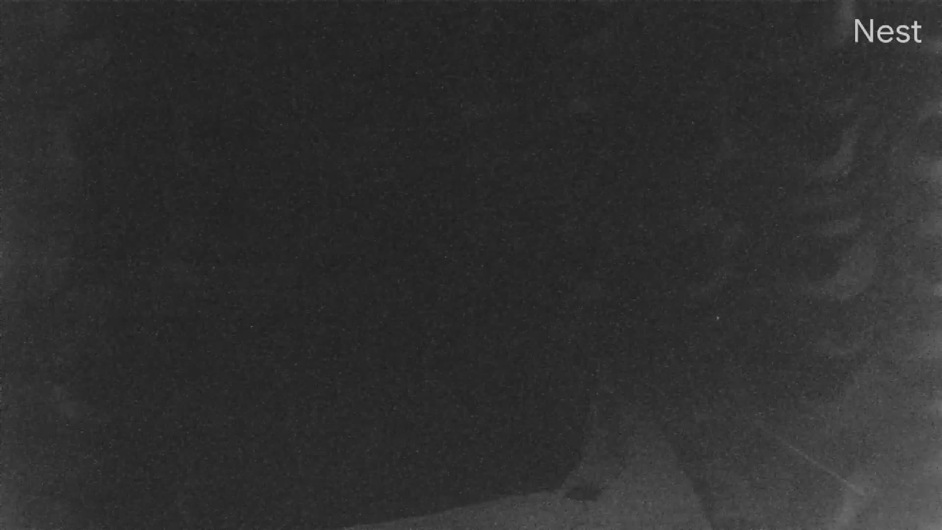 Hurricanetrack Cedar Key Cam Helene (2024)