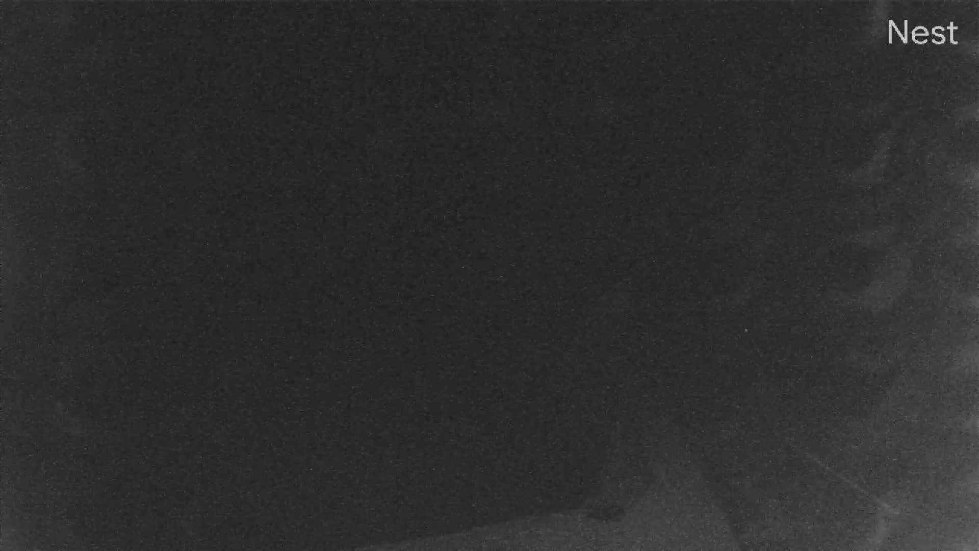 Hurricanetrack Cedar Key Cam Helene (2024)