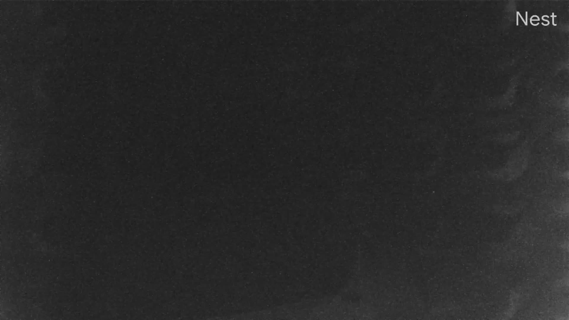 Hurricanetrack Cedar Key Cam Helene (2024)