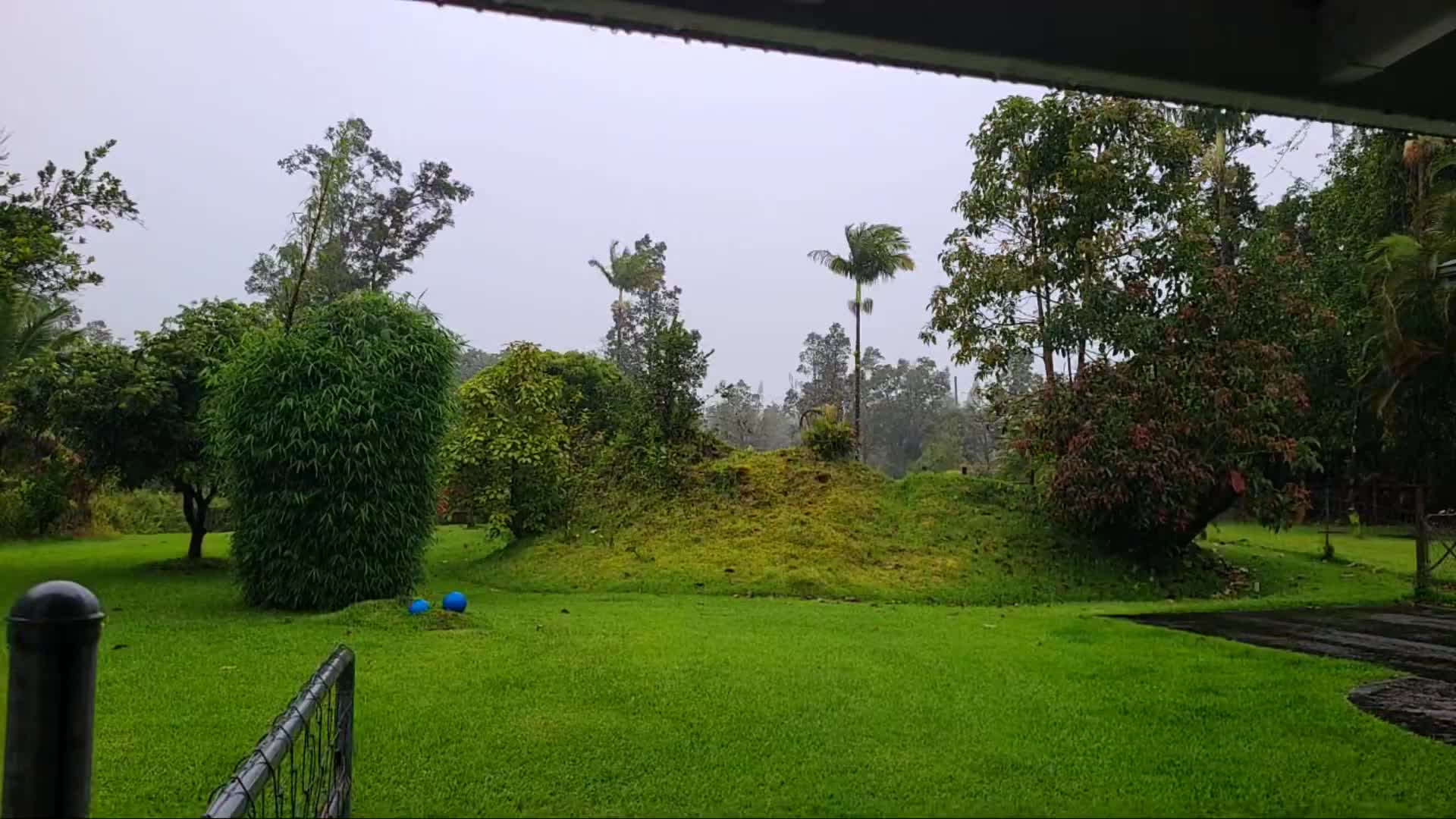 Big Island Apau Hawaii Cam Hone (2024)
