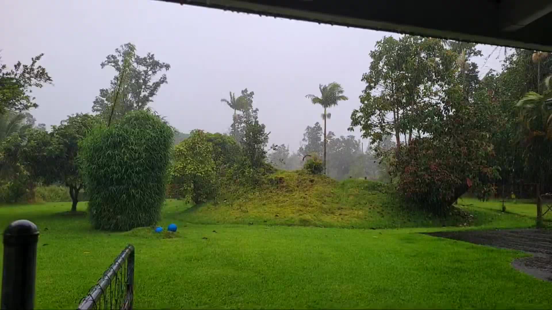 Big Island Apau Hawaii Cam Hone (2024)