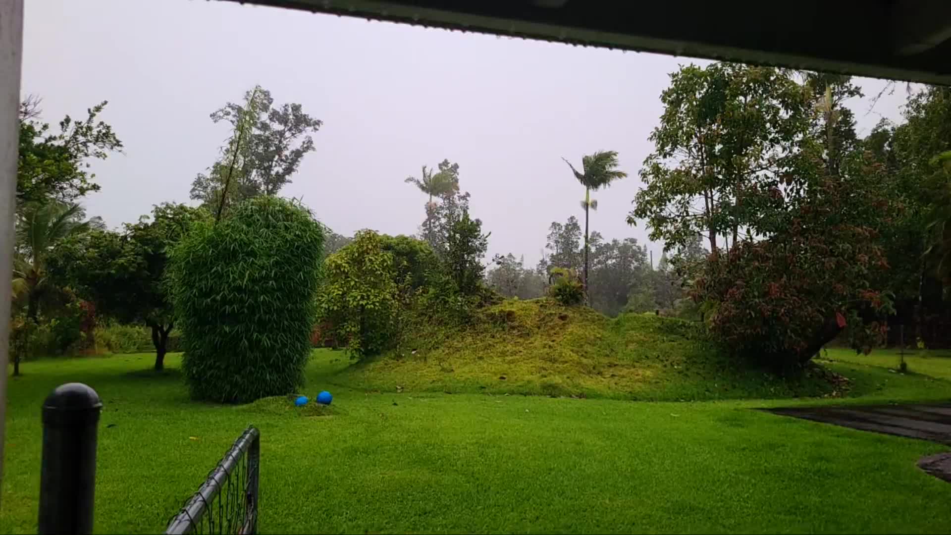 Big Island Apau Hawaii Cam Hone (2024)