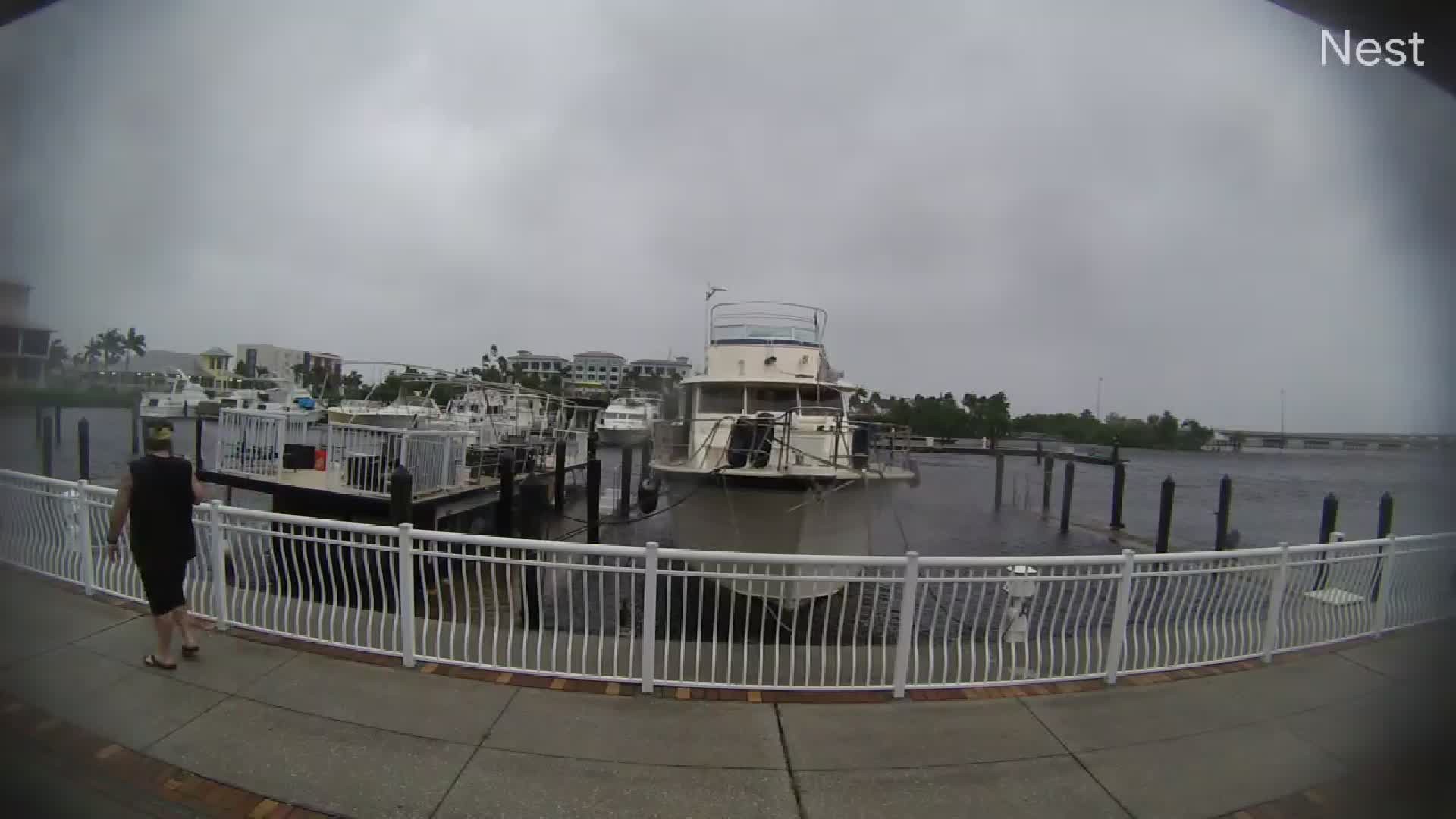 Punta Gorda Marina Milton (2024)