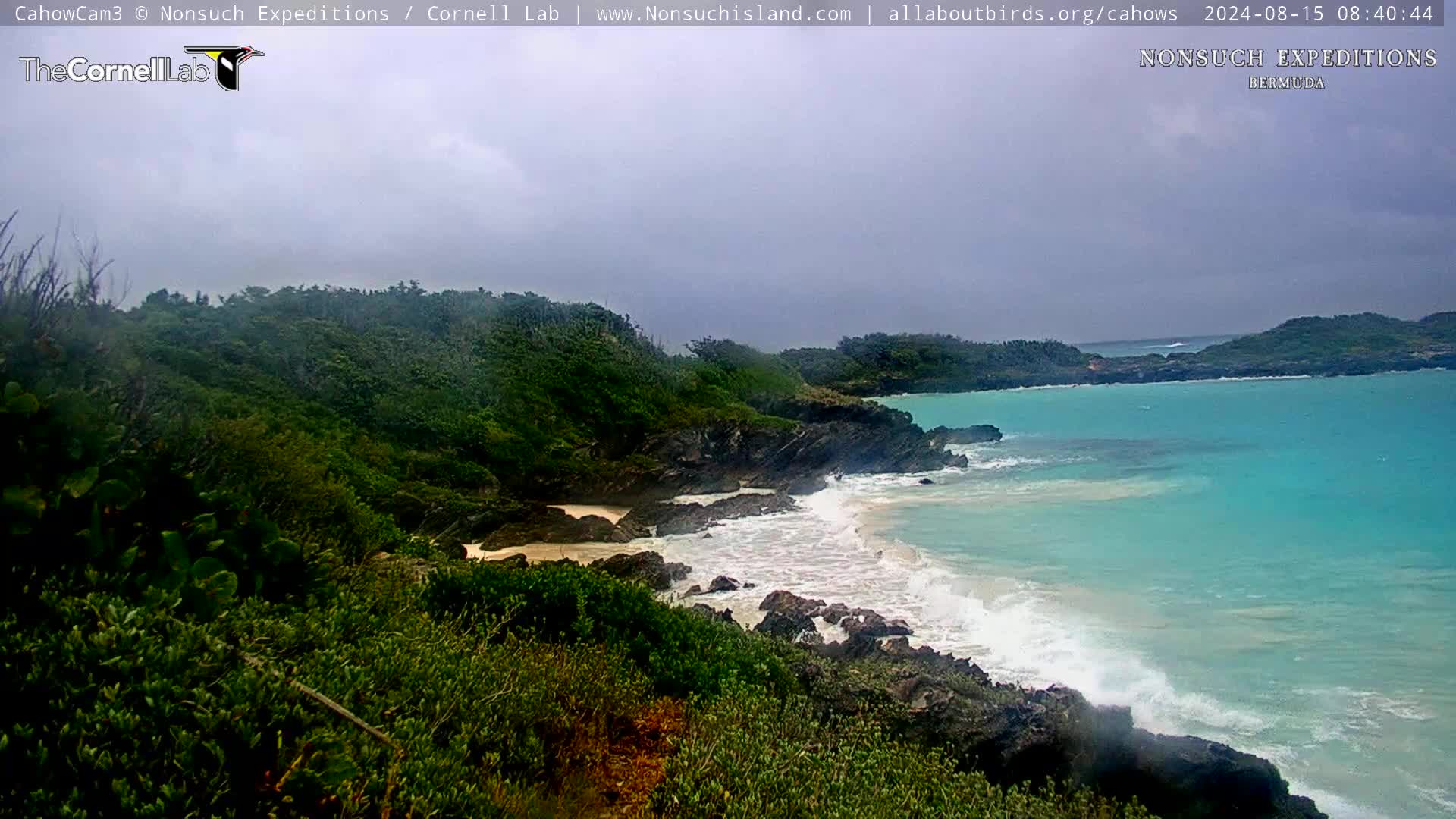 Nonsuch Island Bermuda Cam Ernesto (2024)