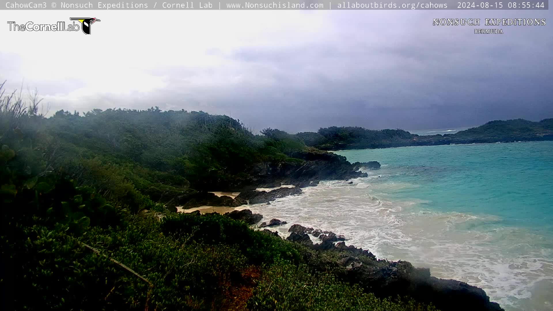 Nonsuch Island Bermuda Cam Ernesto (2024)